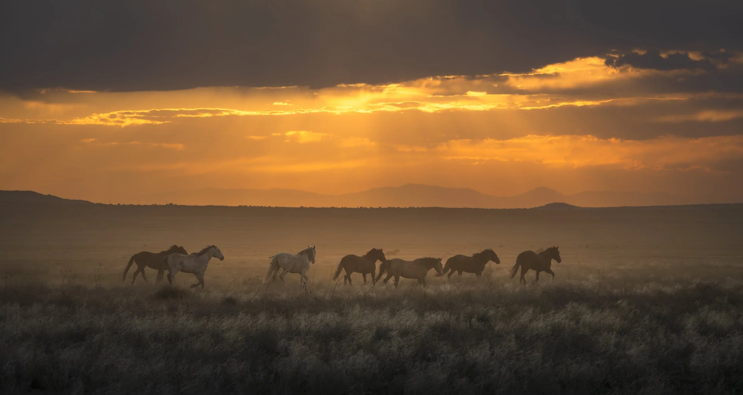 Wild Horse Sunset.jpg