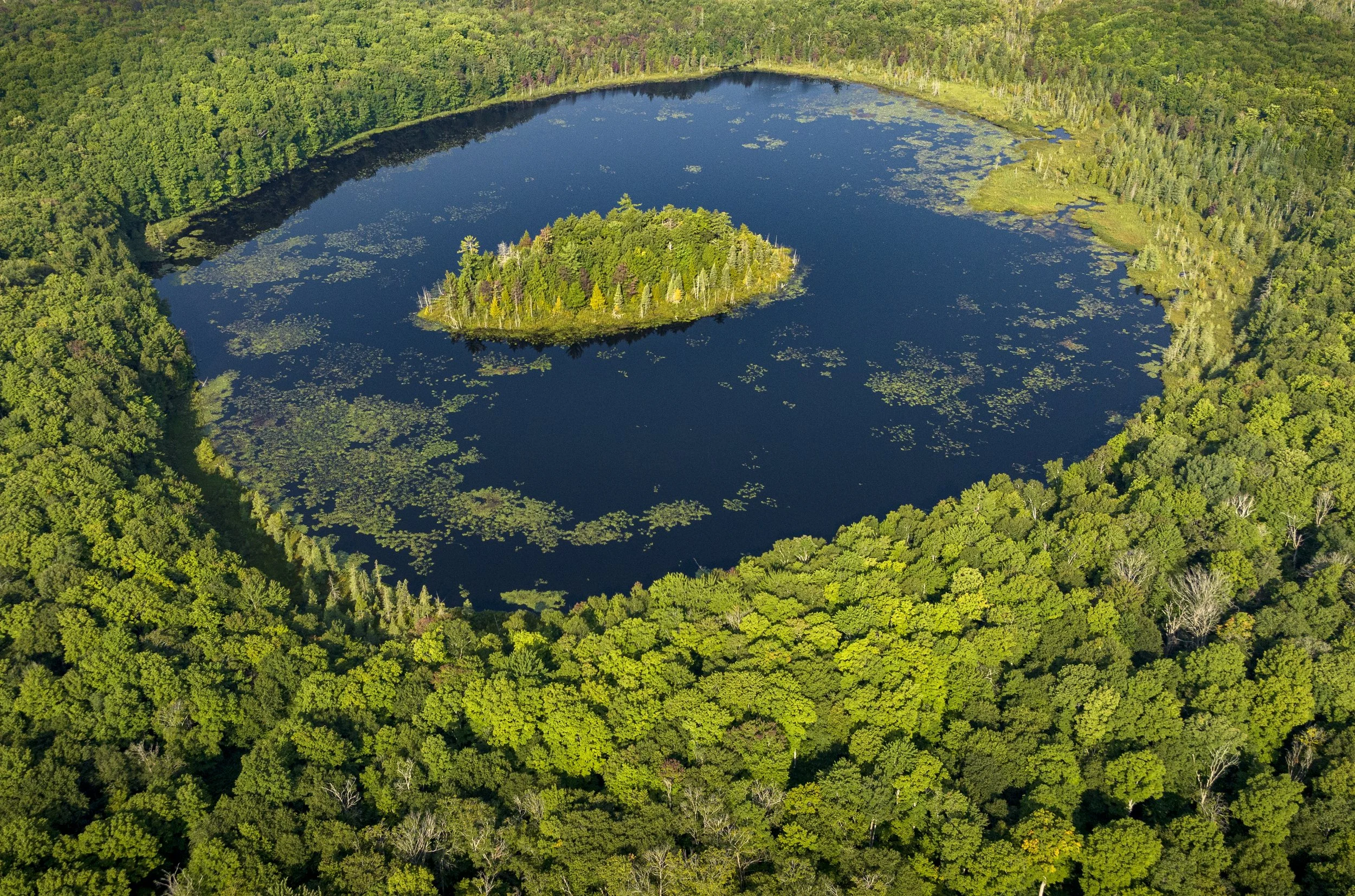 Big Island in summer by air.jpg
