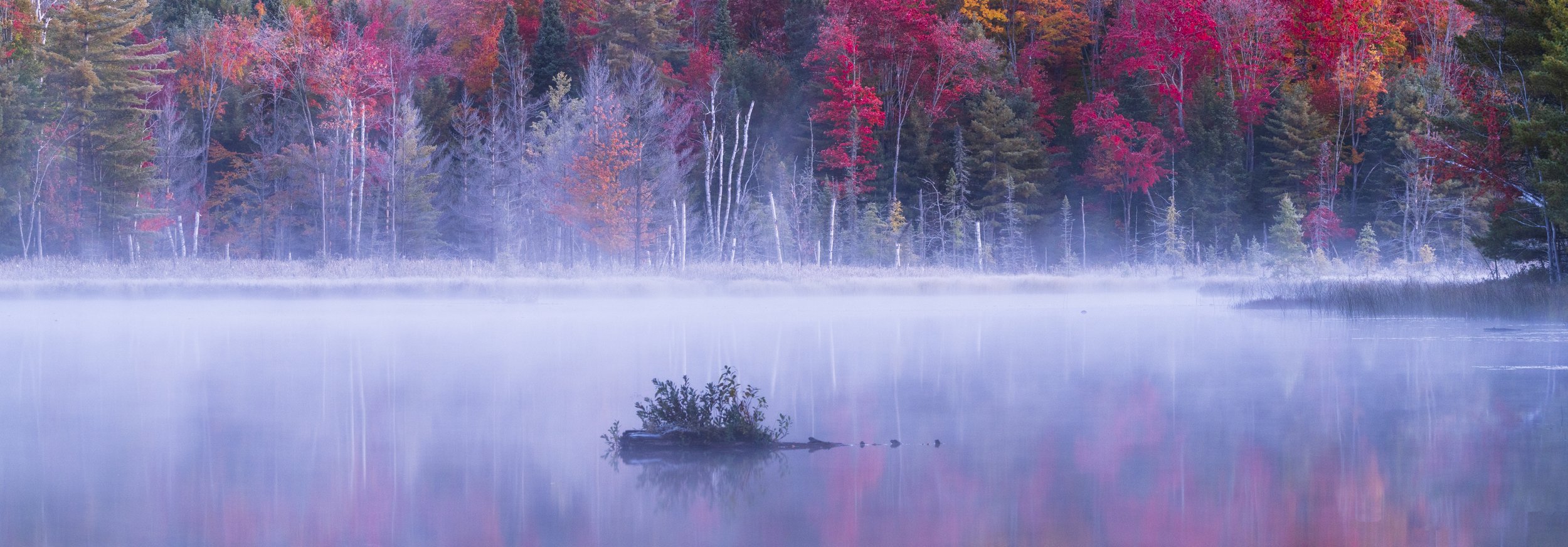 Frosty fall in Upper Penisula.jpg