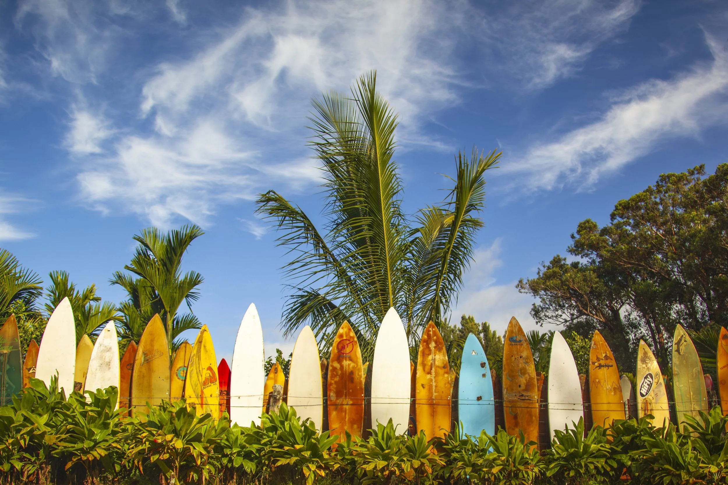 Surfboard Fence Maui.jpg