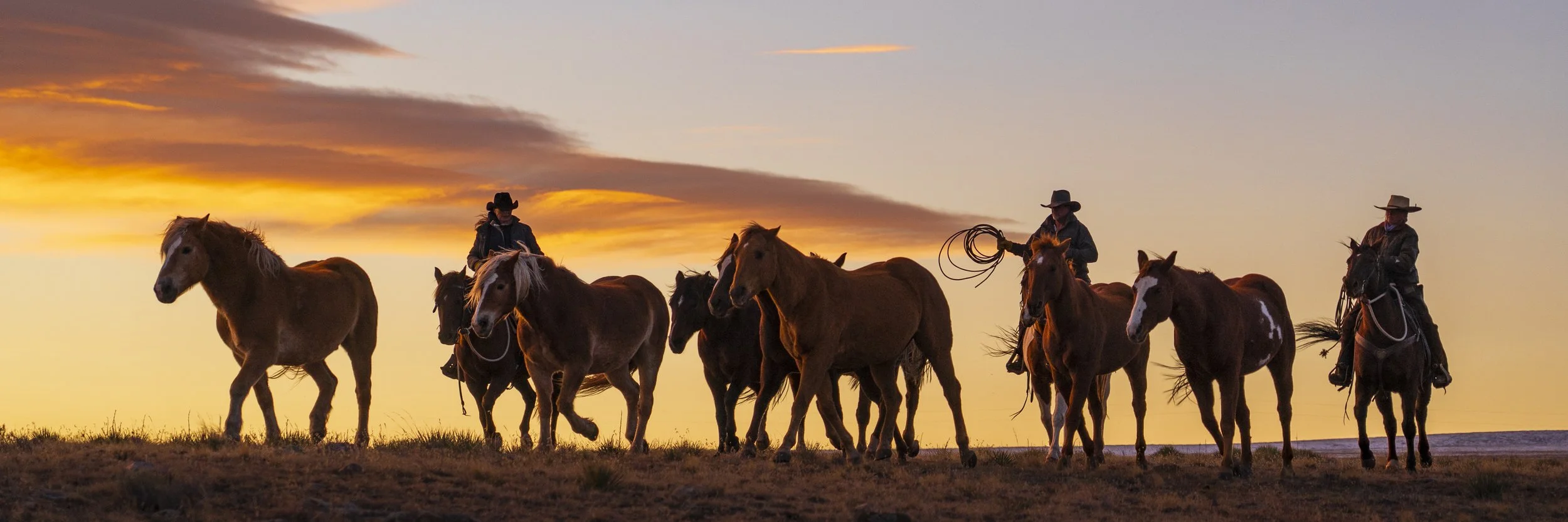 Cowboy morning roundup.jpg