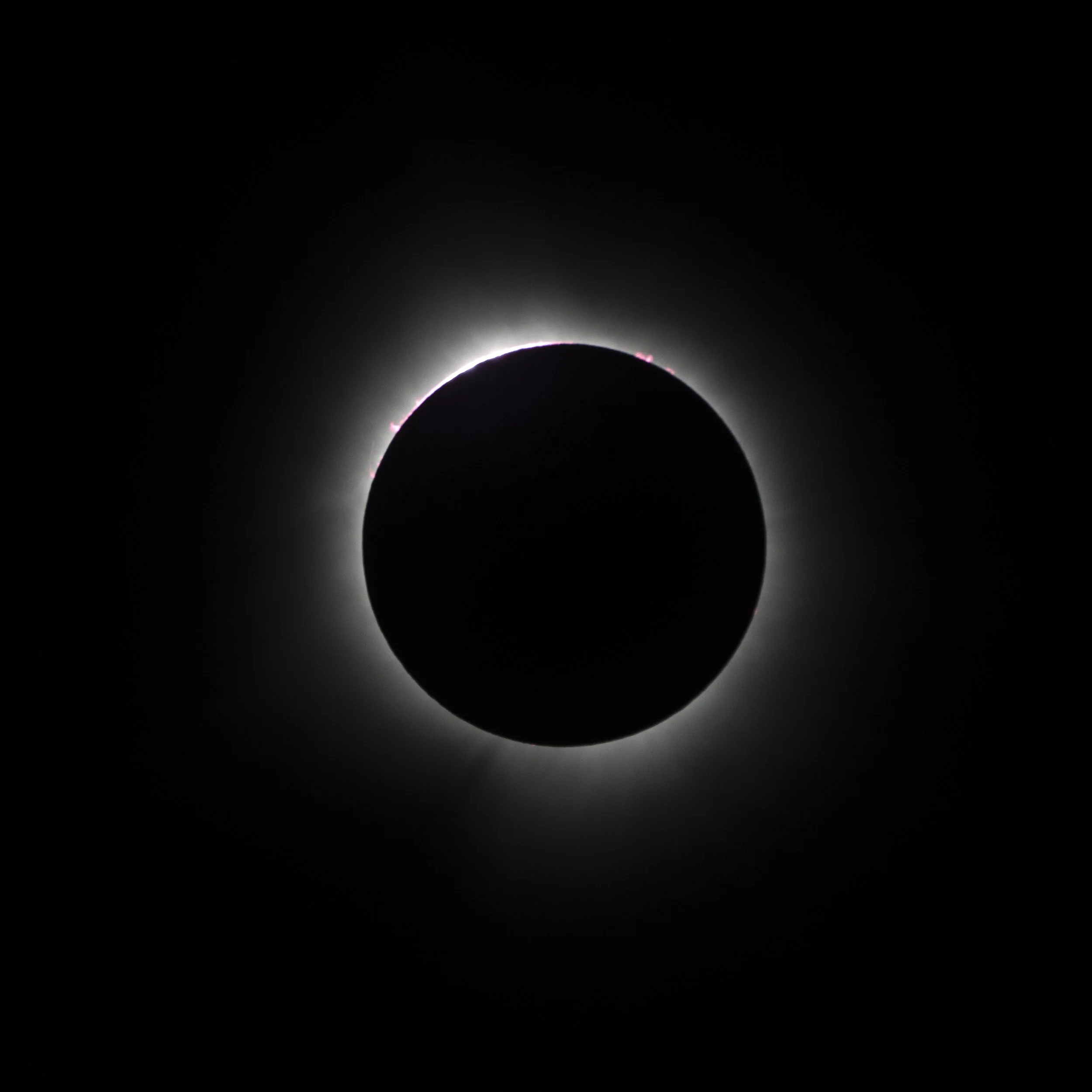 Total Eclipse 2024.jpg