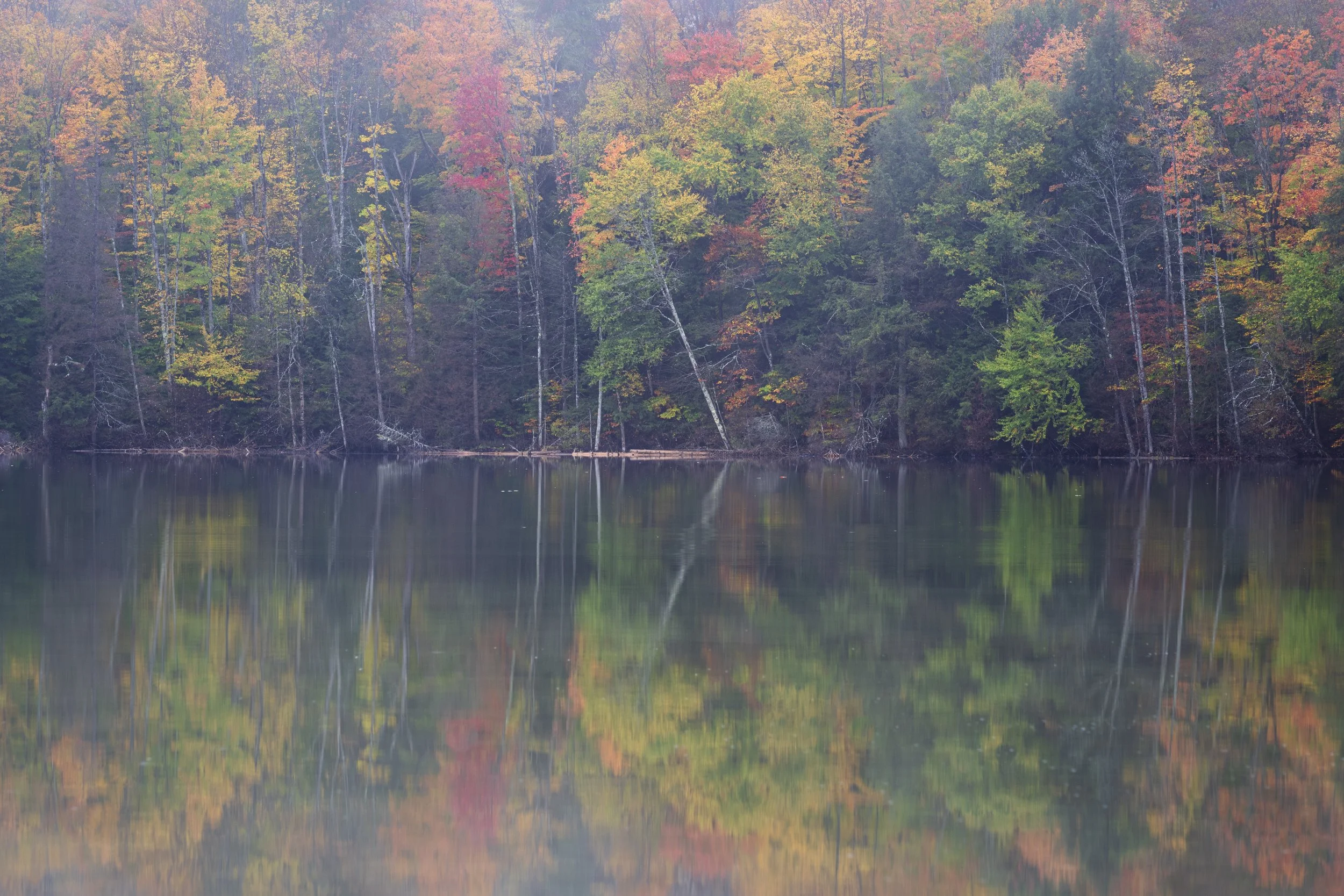 Fall reflection.jpg