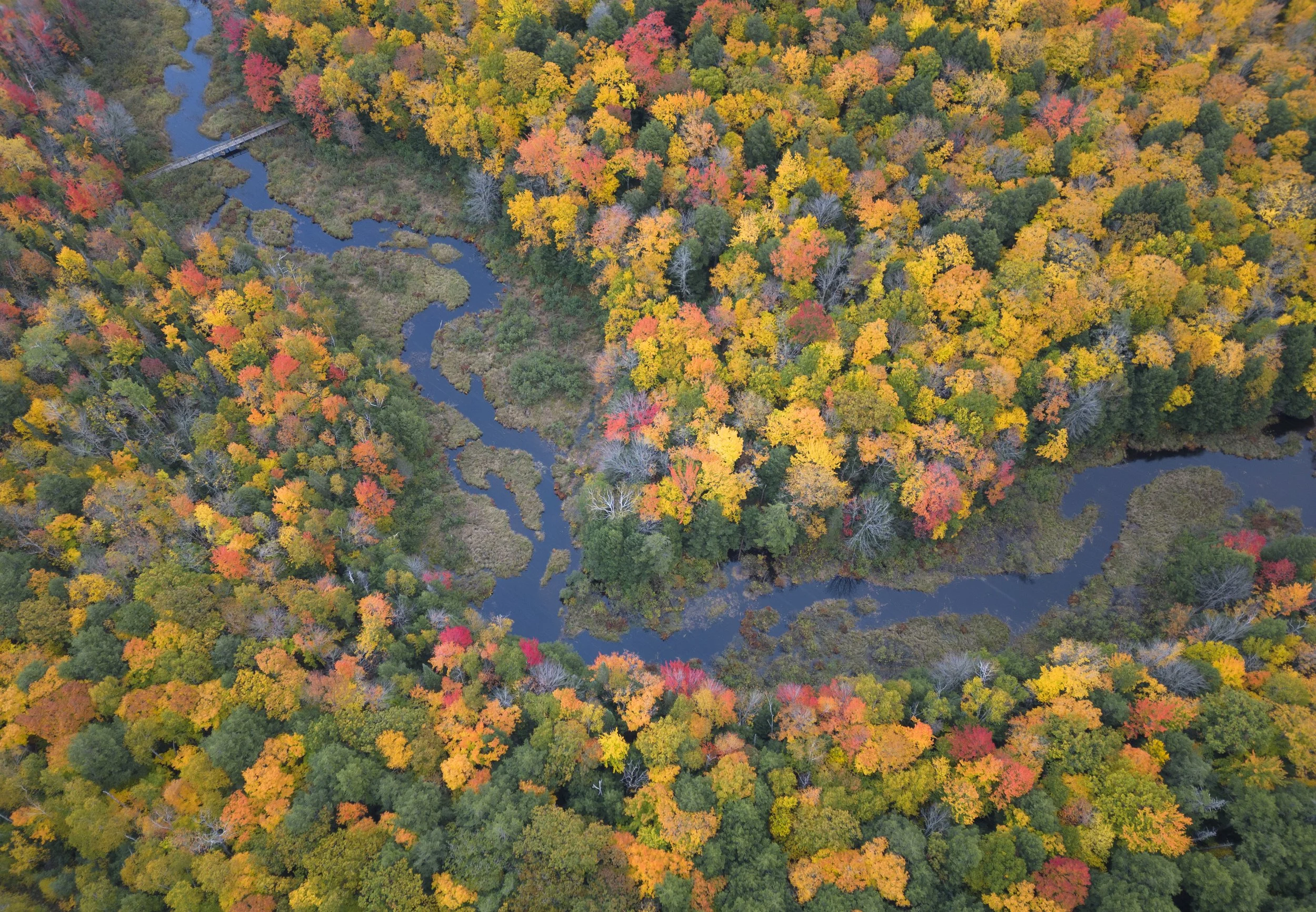 Fall in the Upper Penisula.jpg