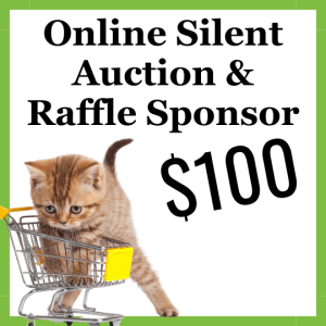 Online Silent Auction & Raffle, Prize Sponsor