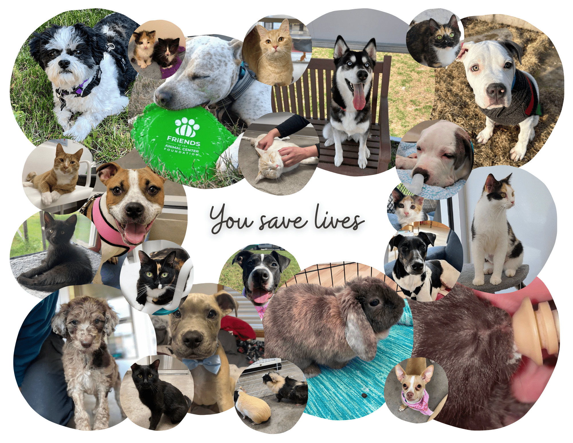 You-save-lives-collage.png