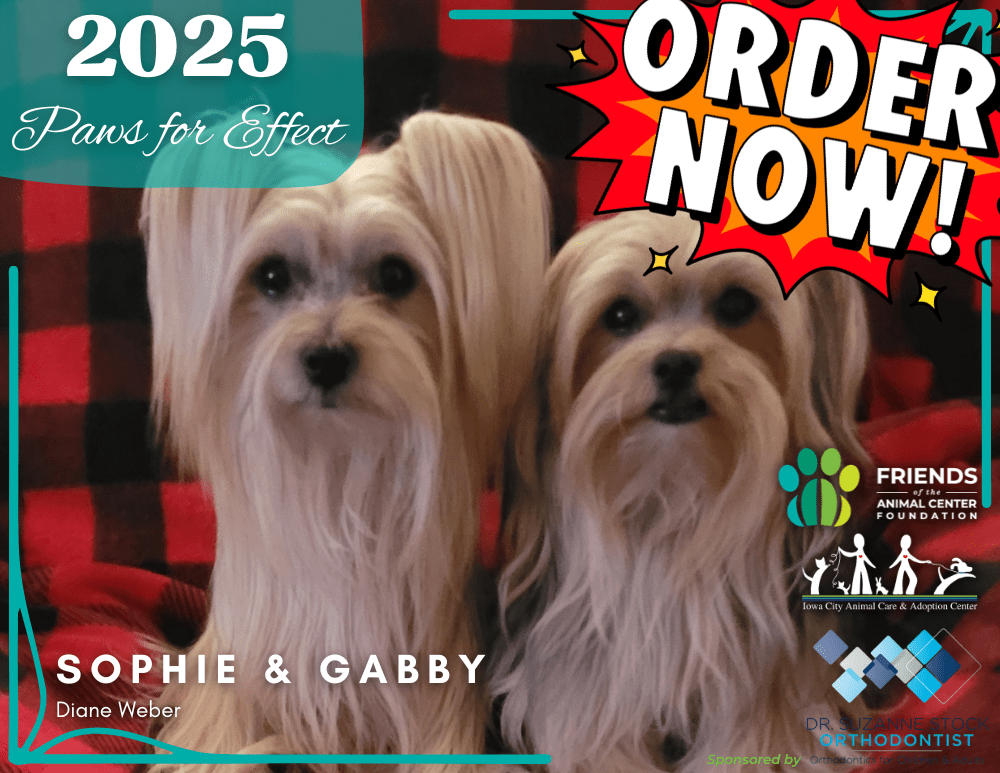 2025-Calendar-Order.png
