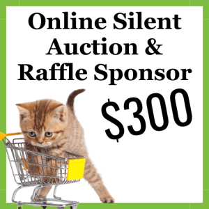 Online Silent Auction & Raffle Main Sponsor