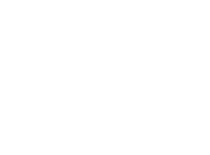 Logo for the Love Land Foundation with the text 'the LOVE LAND foundation' arranged creatively.