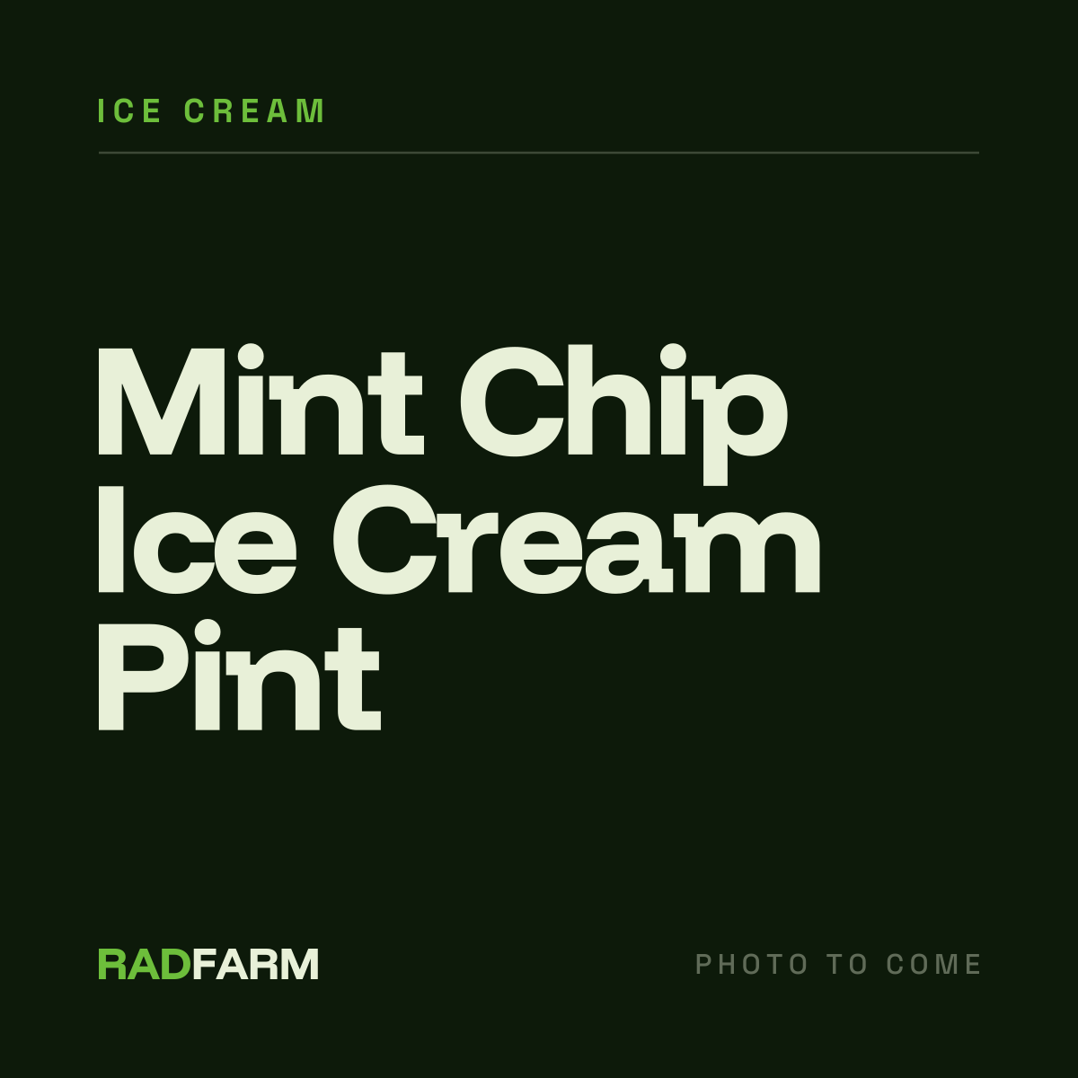 Mint Chip Ice Cream Pint