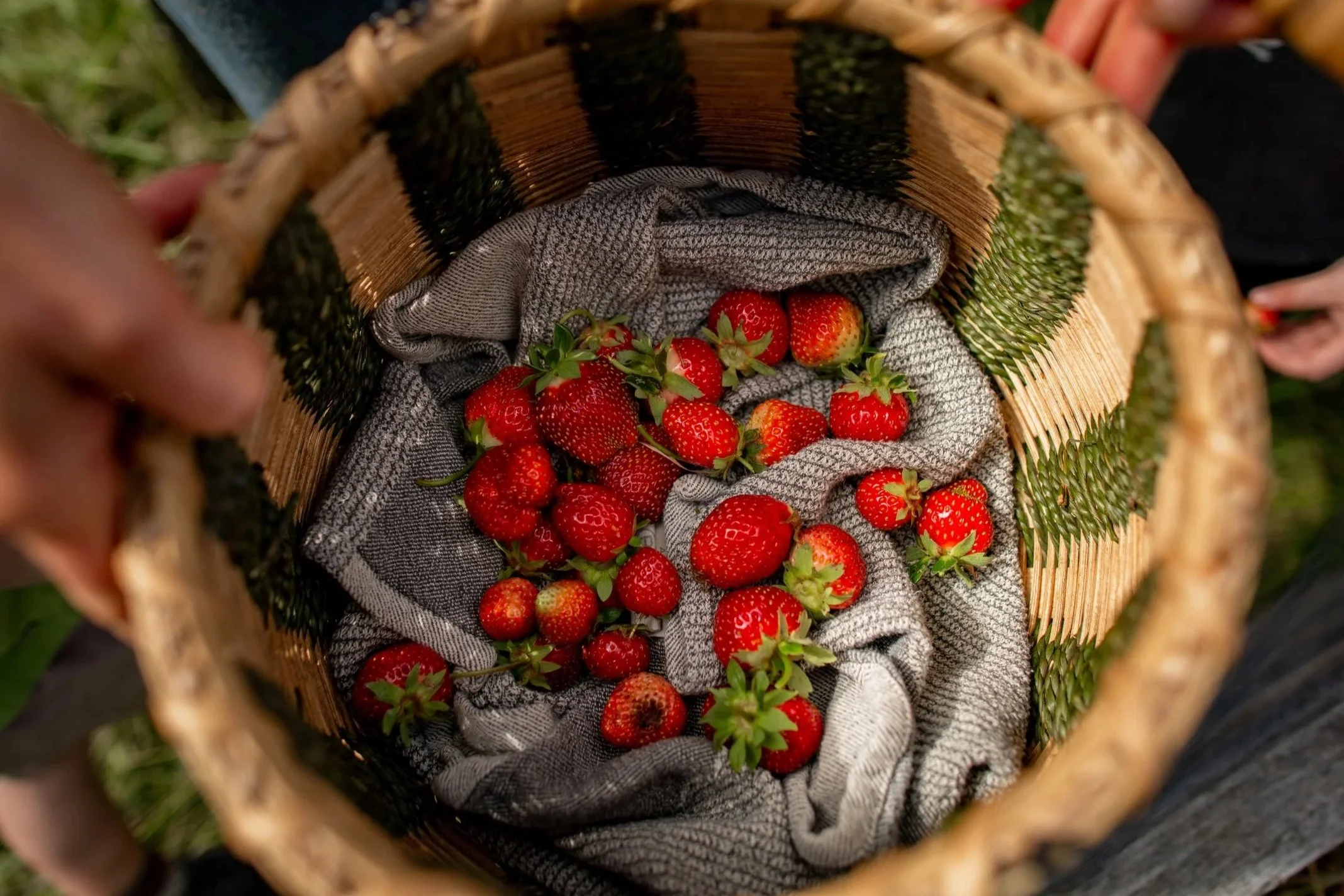 RadFarm Chemical Free Strawberries