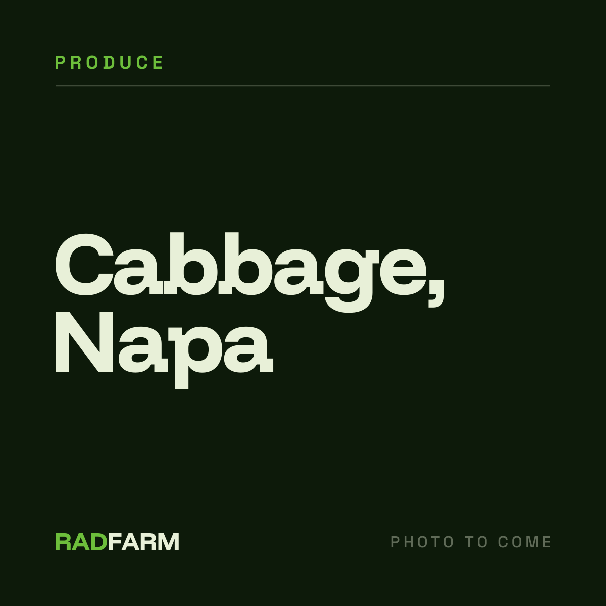 Cabbage, Napa