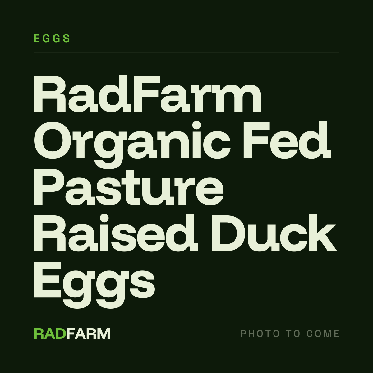 RadFarm Organic Fed Pasture Raised Duck Eggs