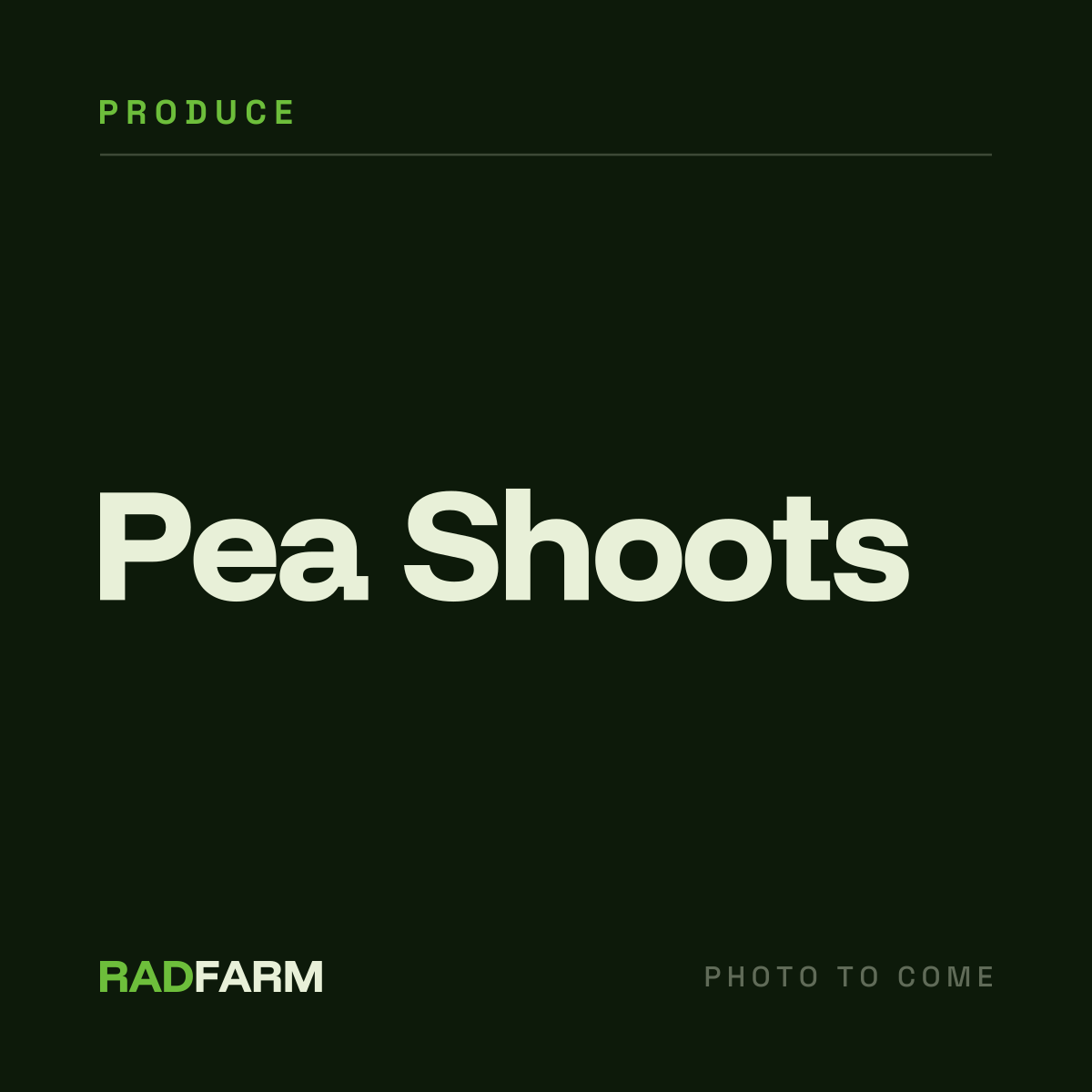 Pea Shoots