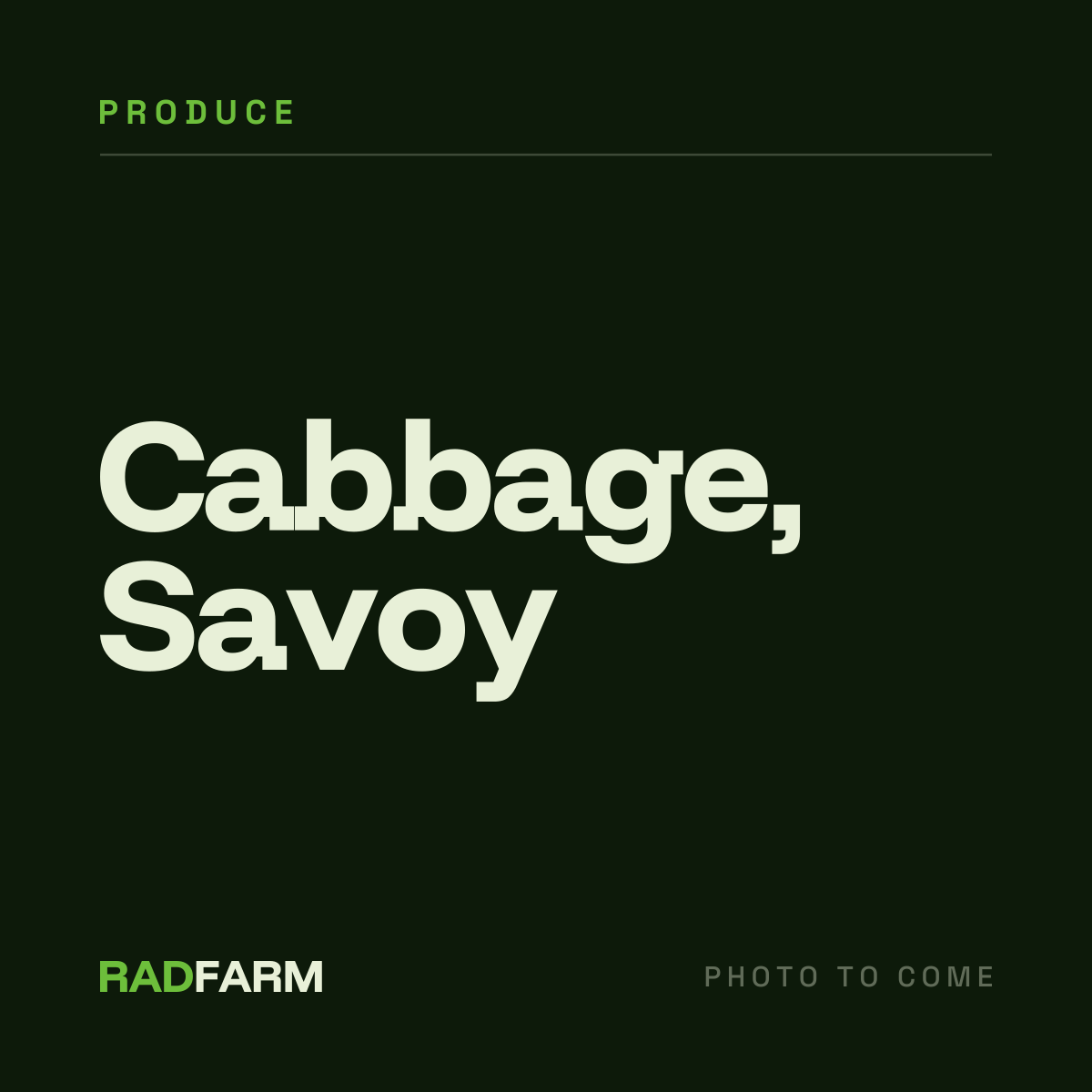 Cabbage, Savoy