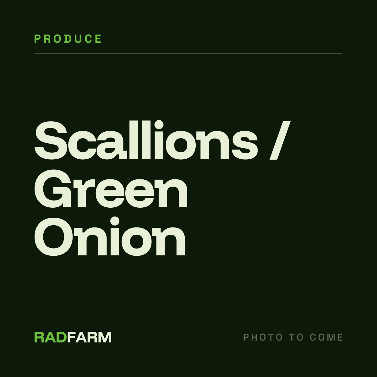 Scallions / Green Onion