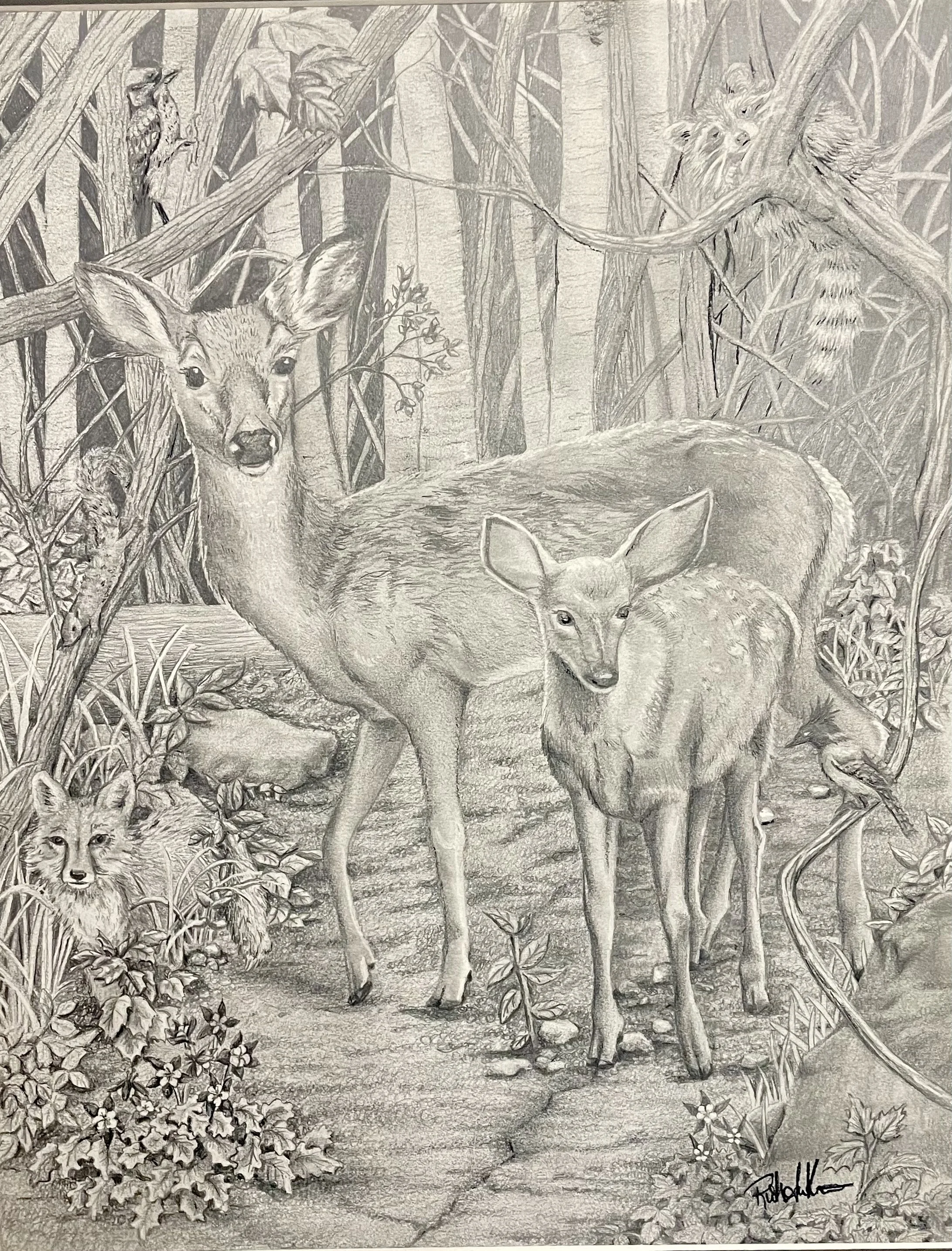 Woodland Nursery