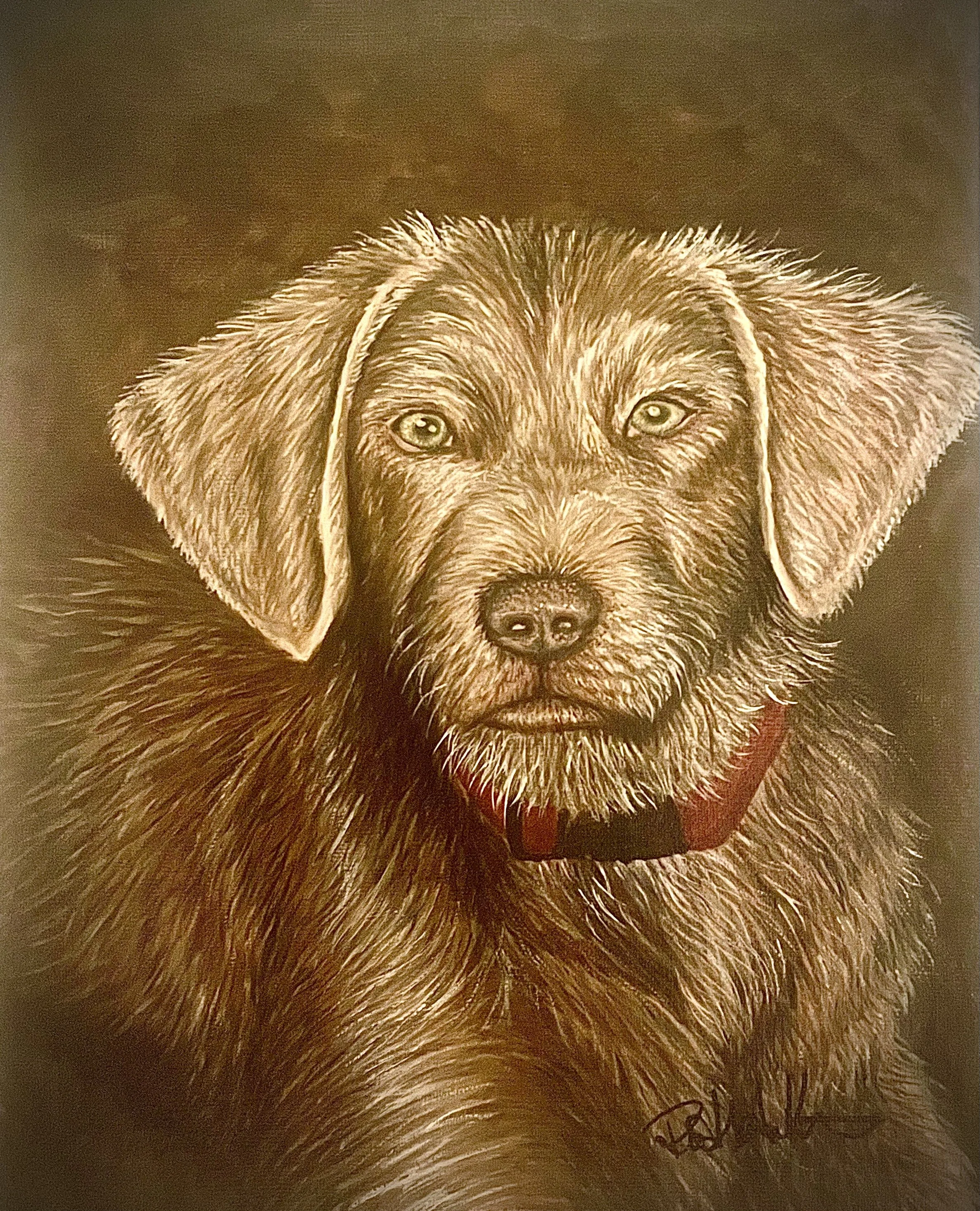 Drawing of a brown dog with floppy ears and light-colored eyes, wearing a red collar. The artist's signature is at the bottom right.