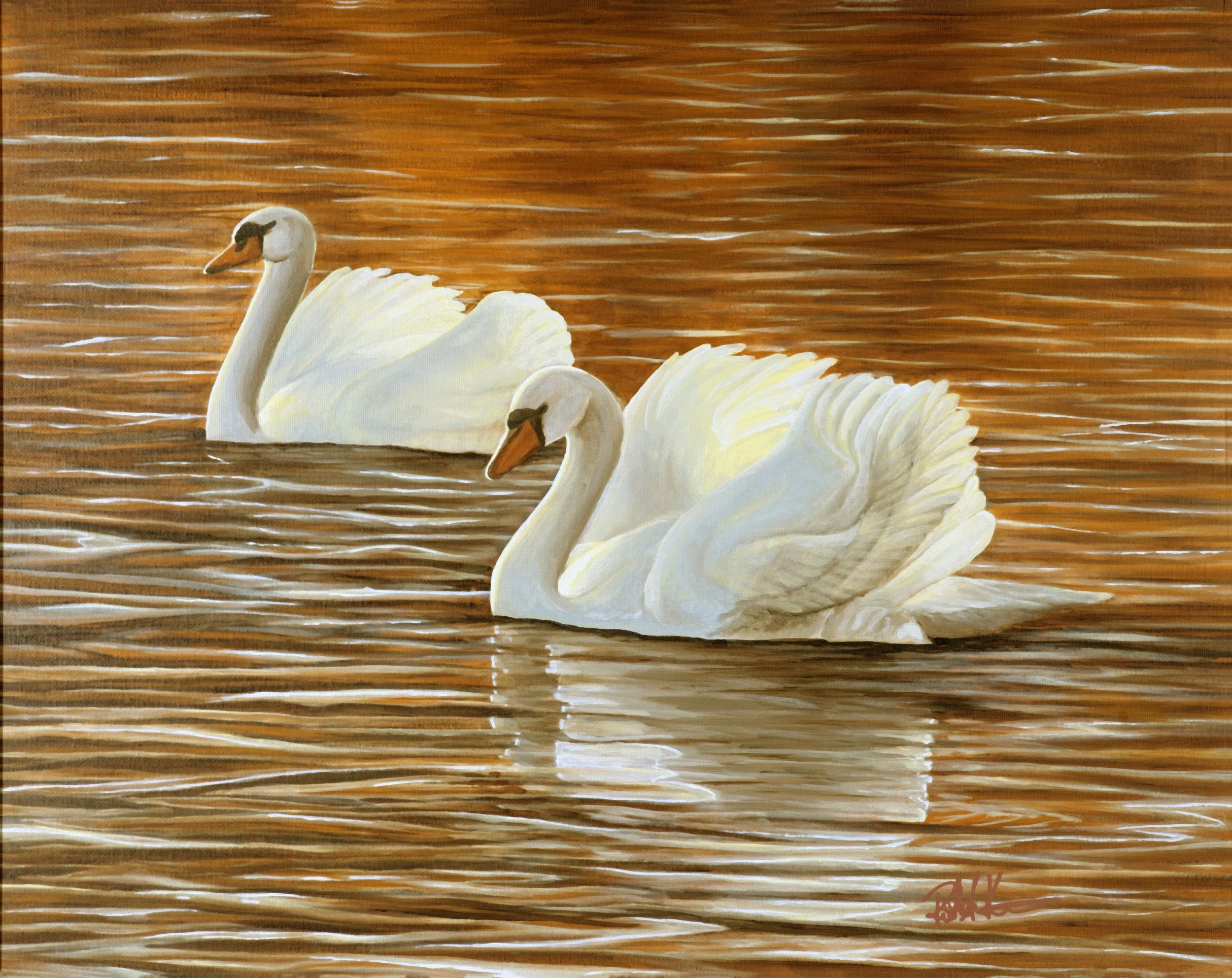 Two swans swimming in a body of water with a wooden or textured surface background.
