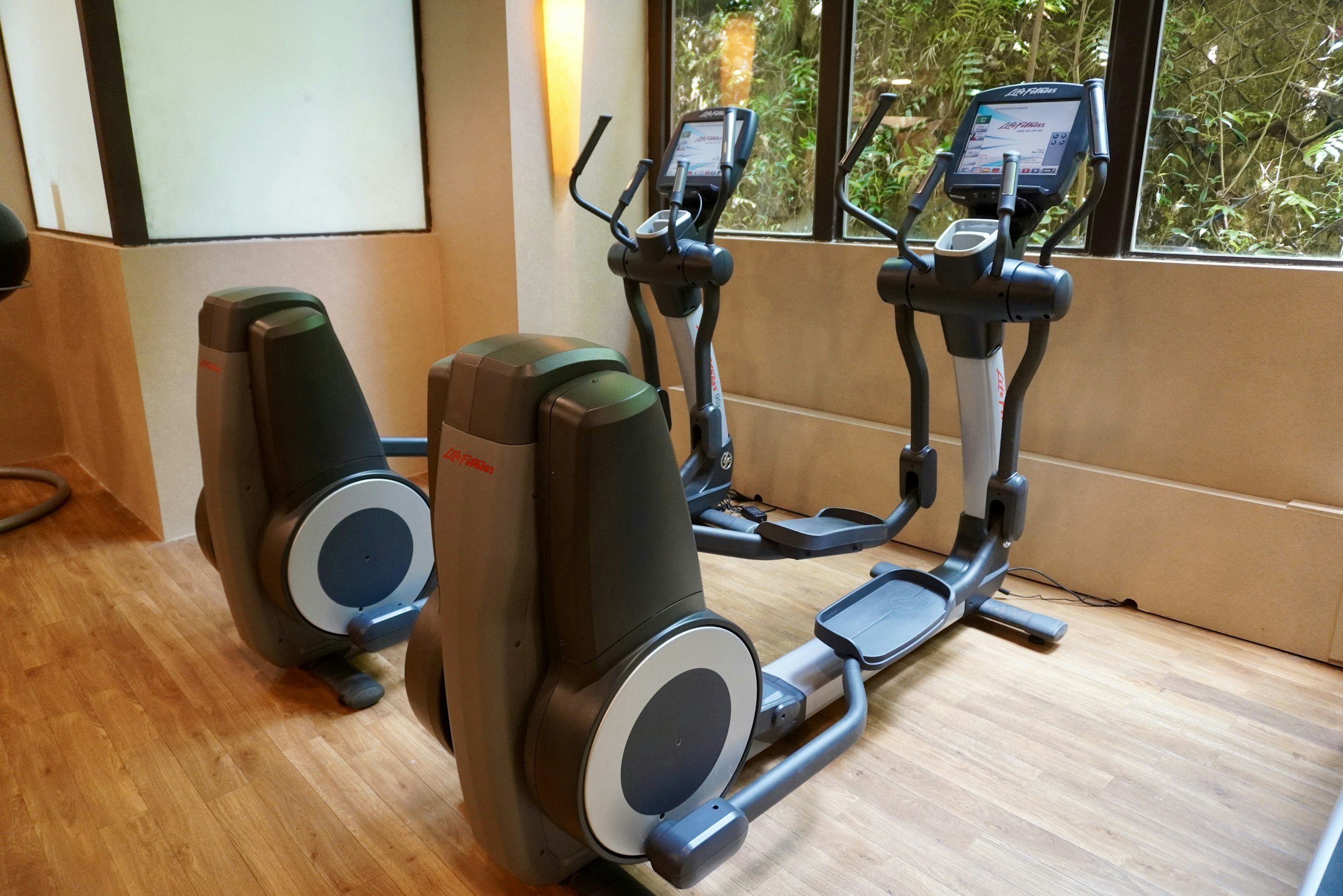 Two elliptical exercise machines in a workout room with wooden floors and large windows showing greenery outside.