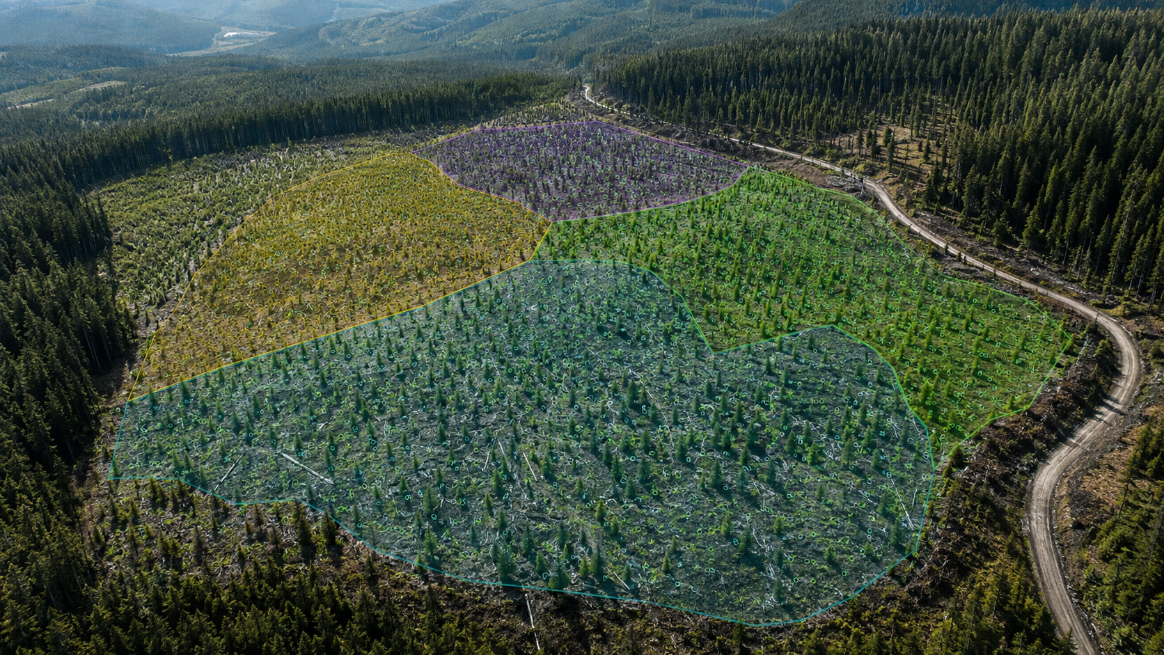 Forestry Has Plenty of Data, The Opportunity Is Turning It Into Decisions.