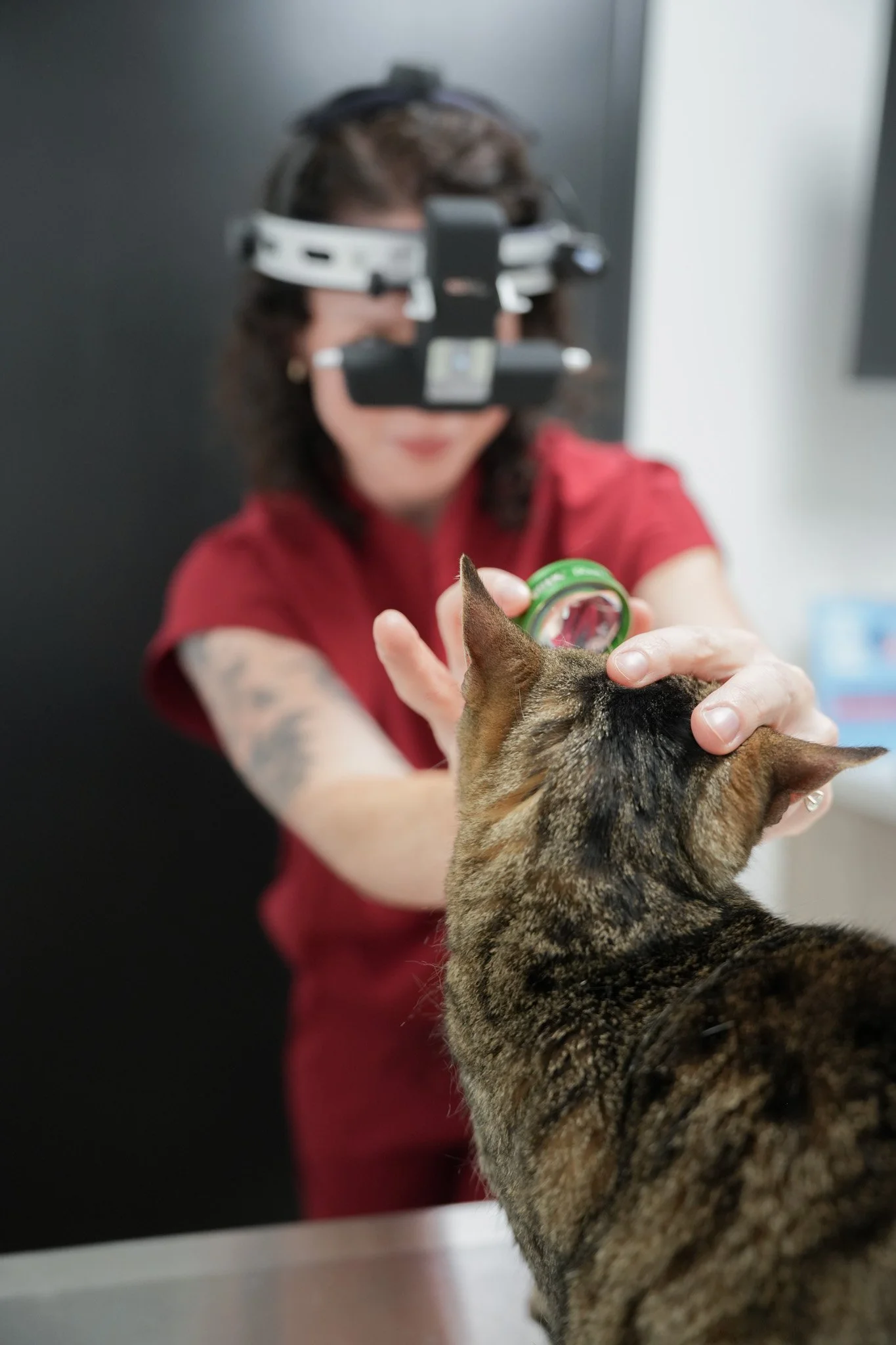 A woman with tattoos on her arm is holding a cat while wearing a headband with virtual reality gear.