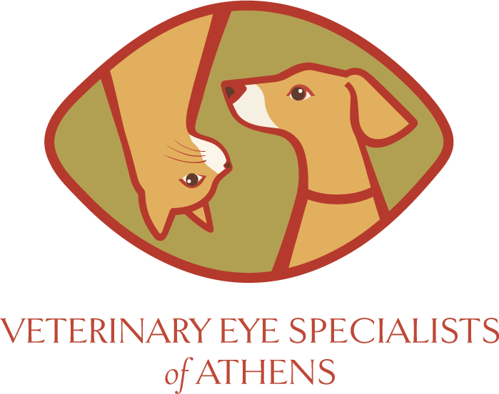 Logo for Veterinary Eye Specialists of Athens featuring a stylized dog and cat facing each other inside an oval shape.
