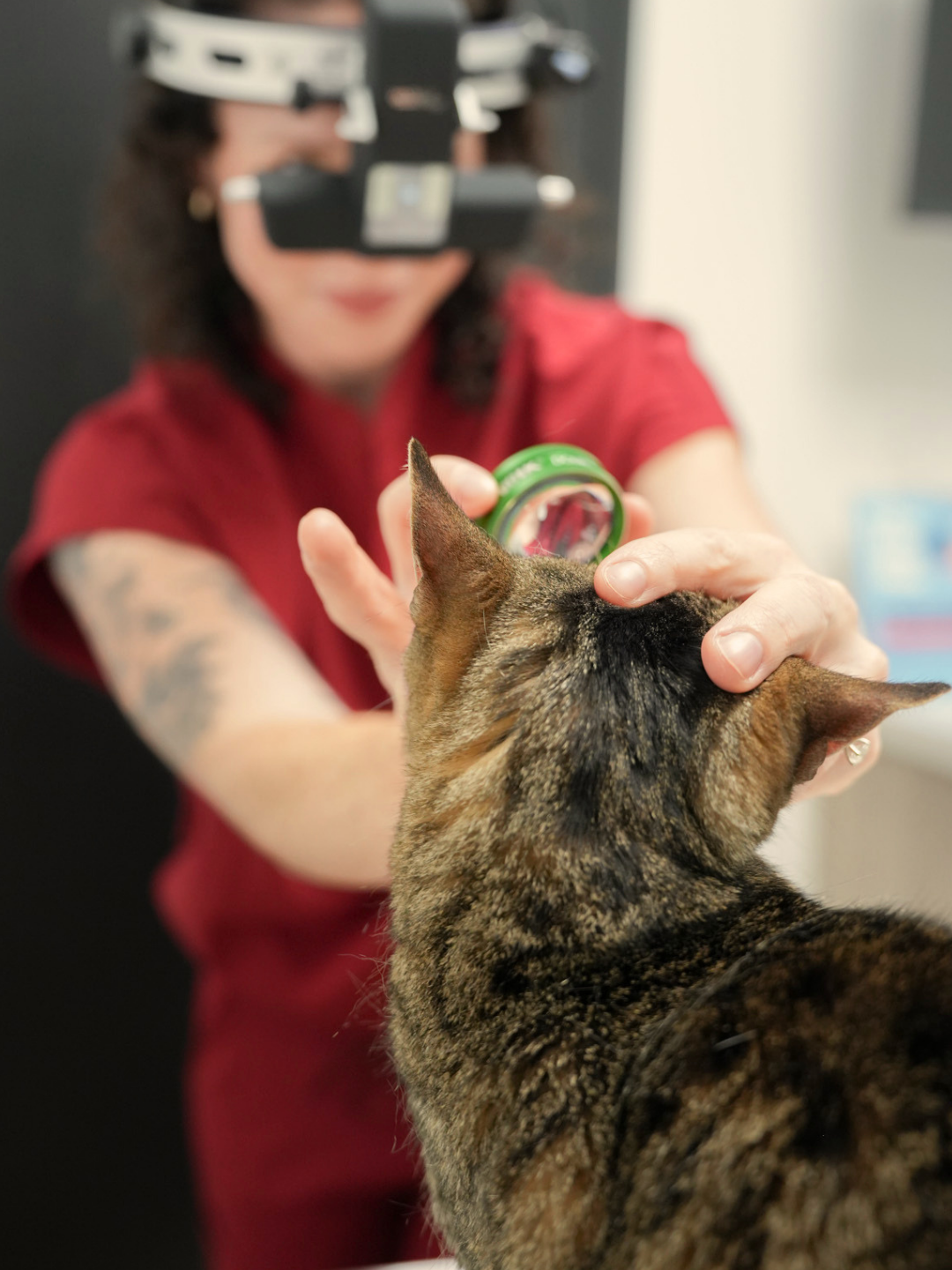 A veterinarian wearing a headlamp and red scrubs holds a tabby cat's head gently with one hand, examining or treating it.