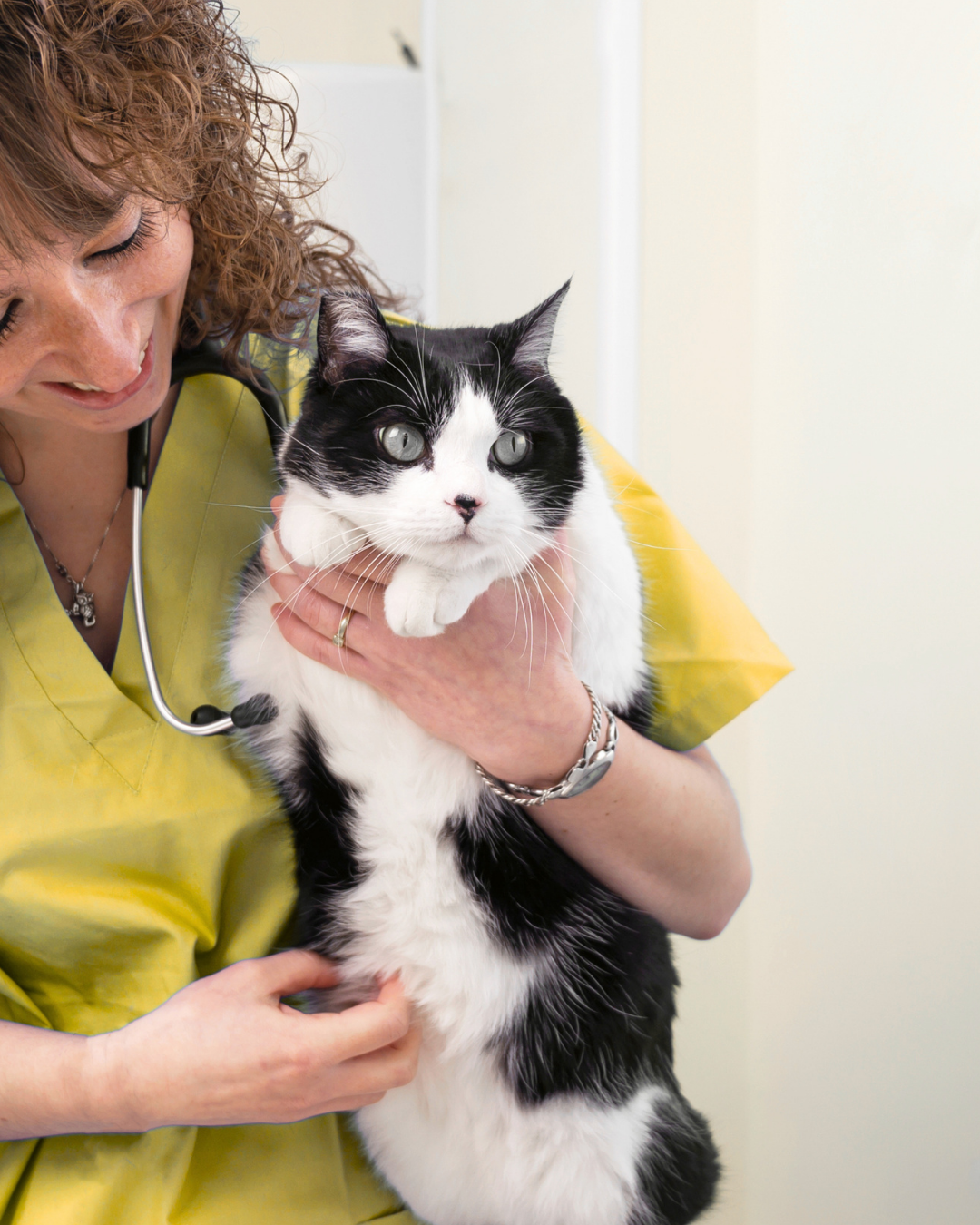 A veterinarian in yellow scrubs holding a black-and-white cat at a veterinary clinic.