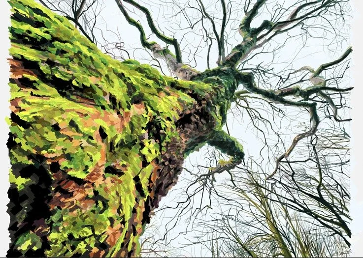 "When life is looking up" - Digital paint on IPad - £168