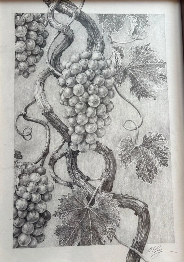 "Synthetic Organ 6" - Pencil