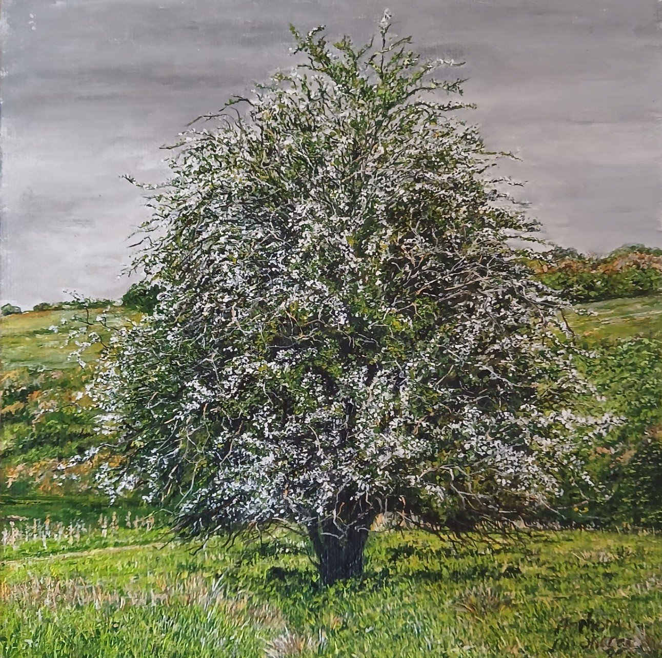 "Mayflower at BigsWeir (Wye Valley)" - Acrylic on Canvas - £145