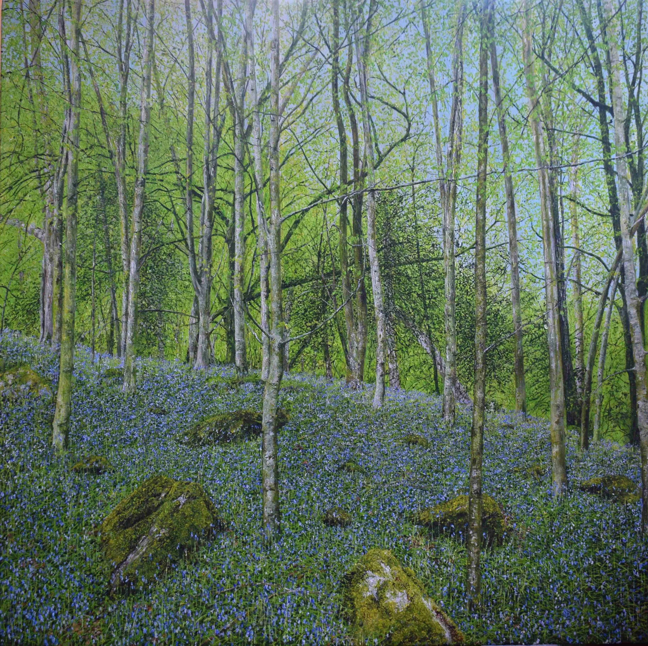 "BlueBells near Llandogo (Wye Valley)" - Acrylic on Canvas - £725
