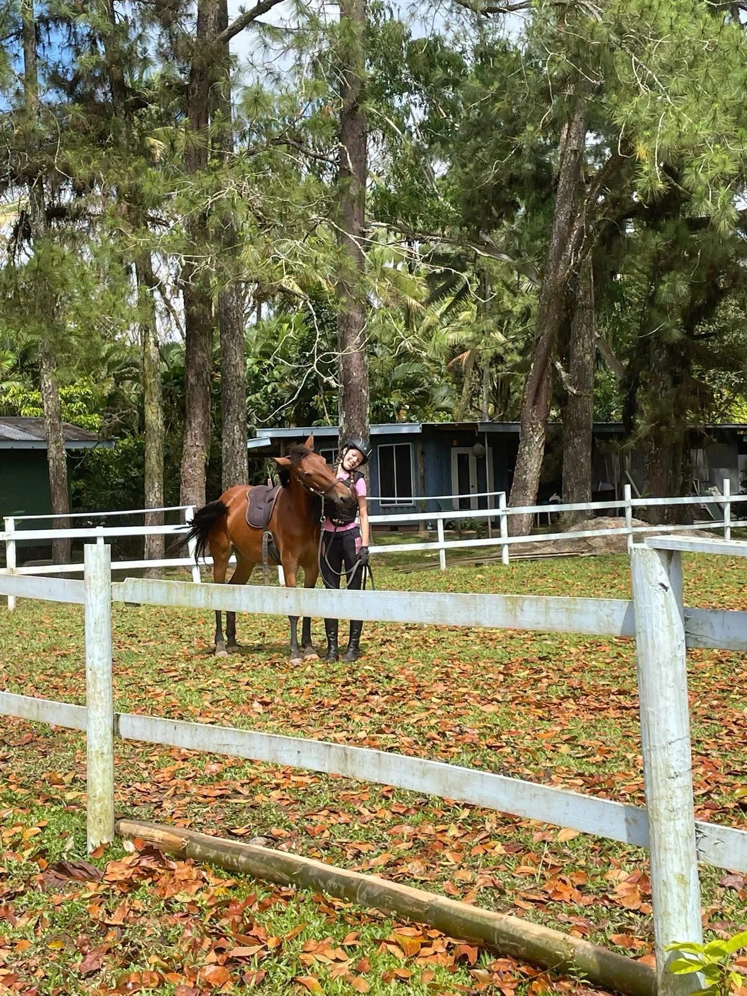Special moments at the Sanctuary 🤍
Bringing horses and people together, one connection at a time. 🐴✨

#HorseSanctuary #HorseSanctuaryFiji #RescueHorses #RescuedHorses #HorseRescue HorsesOfInstagram