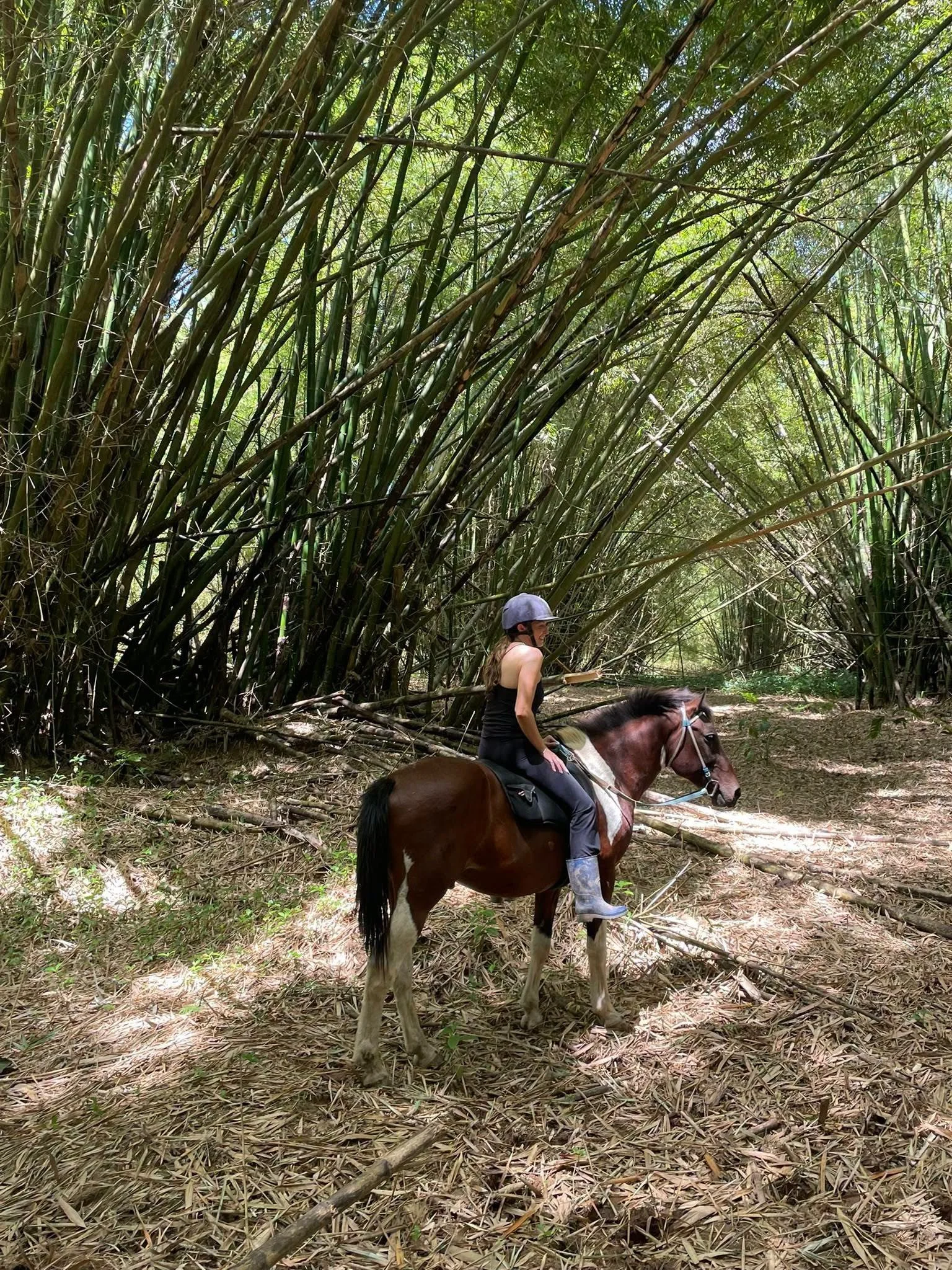 bamboo-ride.jpg