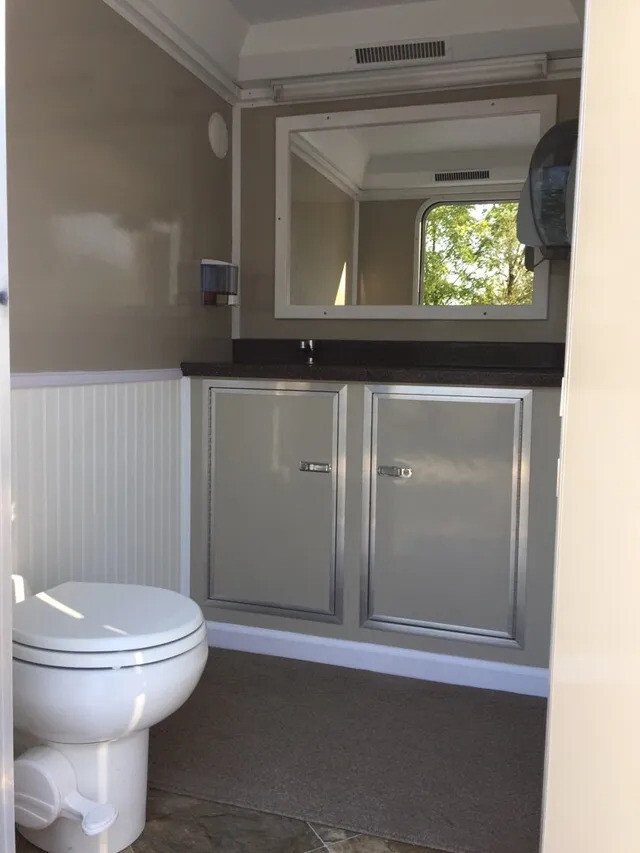 A small bathroom with a white toilet in the corner, a large mirror above a gray cabinet, and a window showing green trees outside.