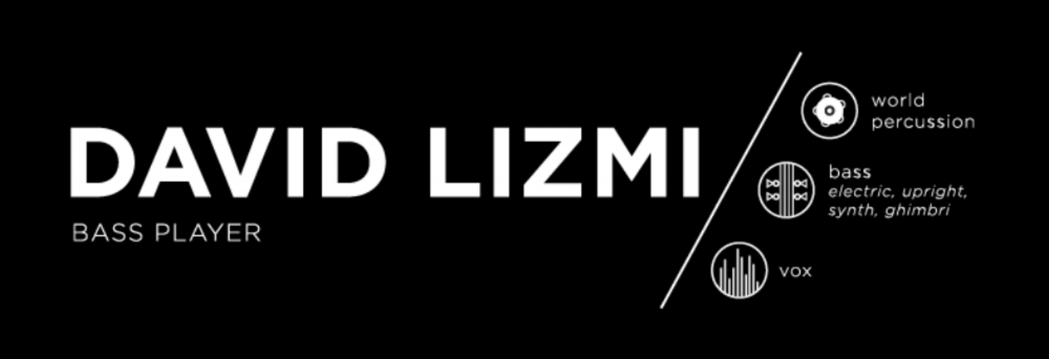 David Lizmi