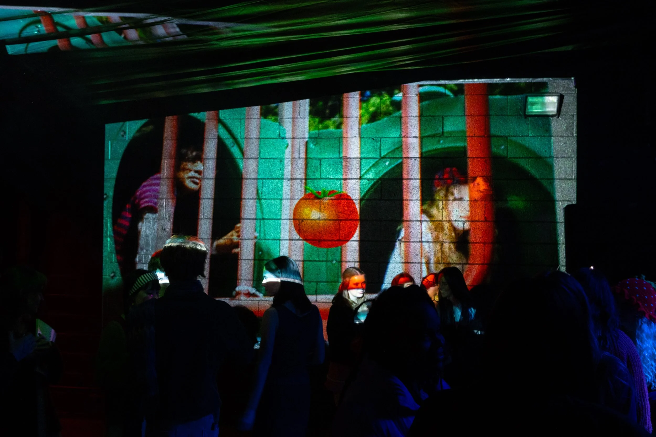 tomato launch-7.jpeg
