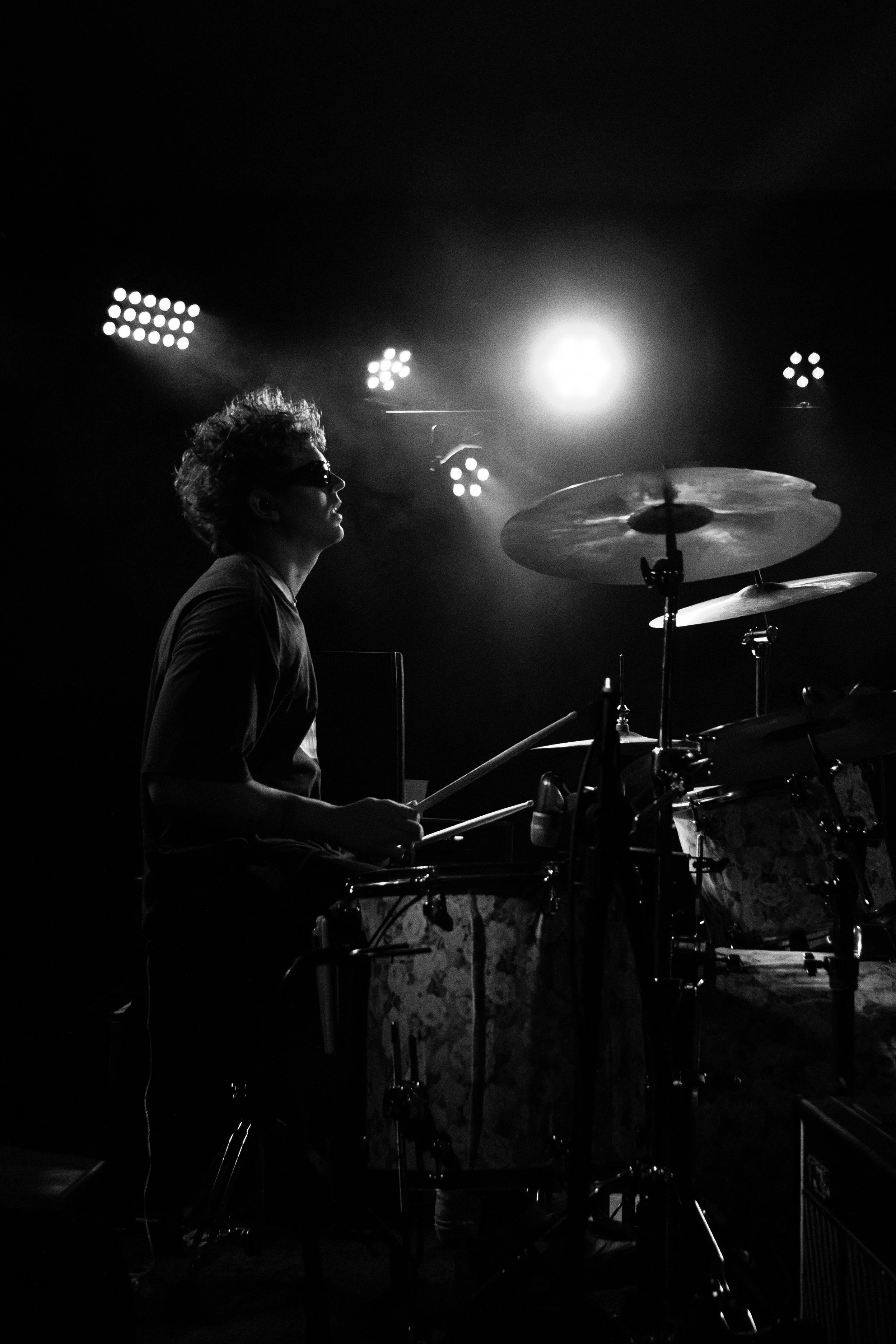 7-13 pilot fish-14.jpeg