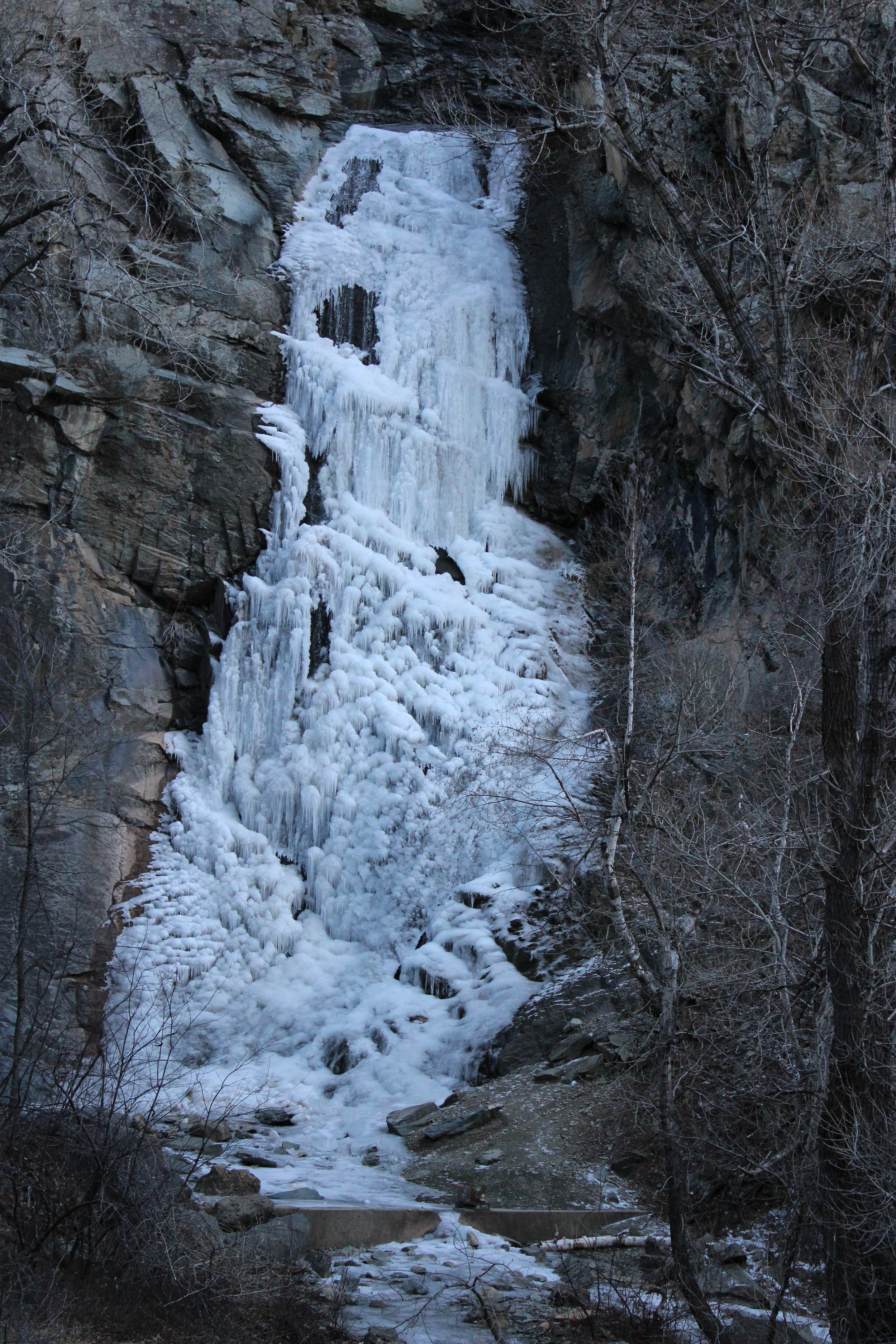 IMG_7758.JPG