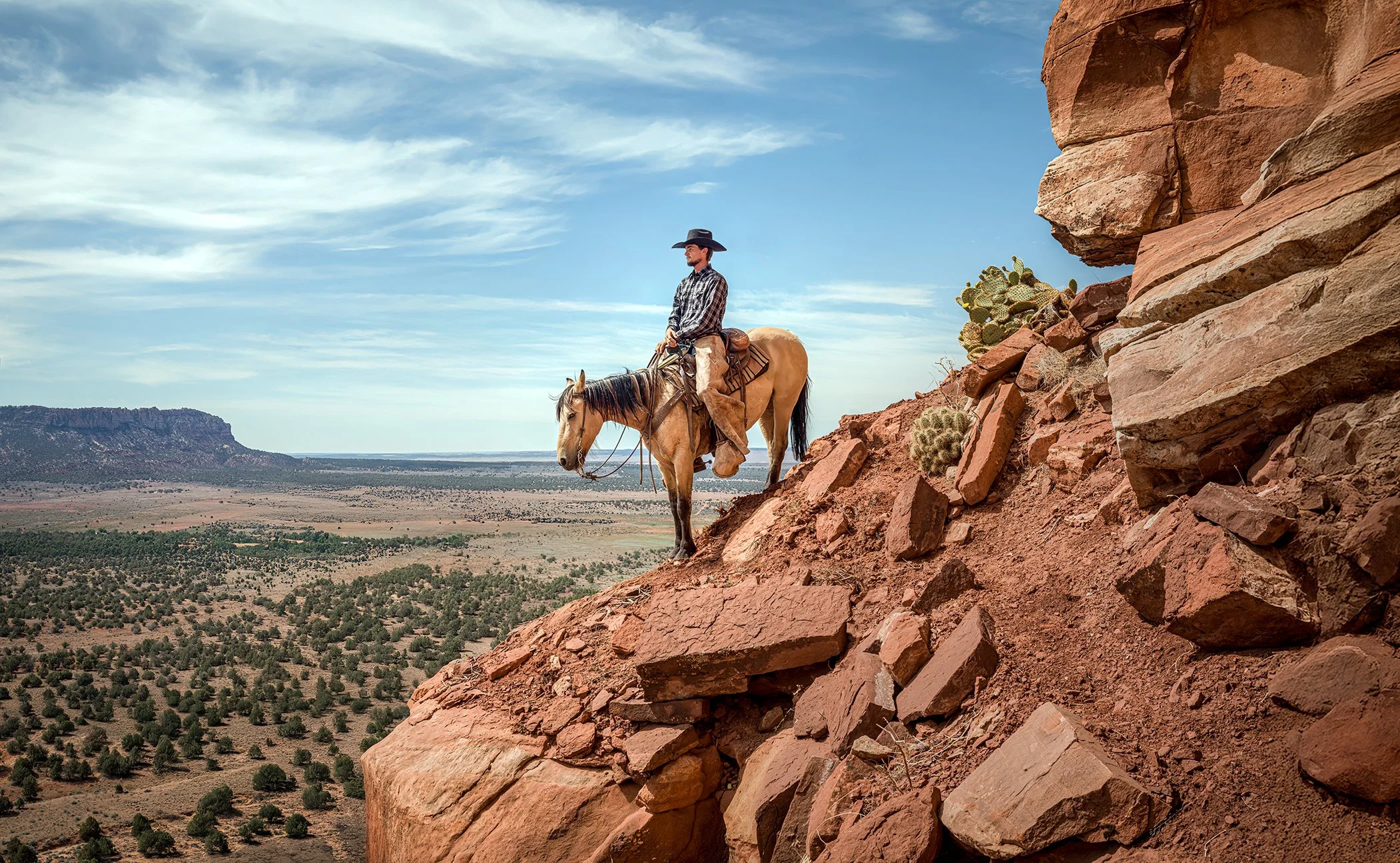 6_Cowboy.jpg