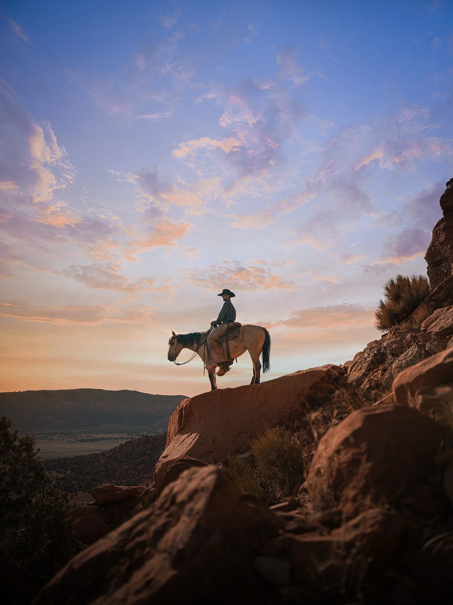 3_Cowboy.jpg