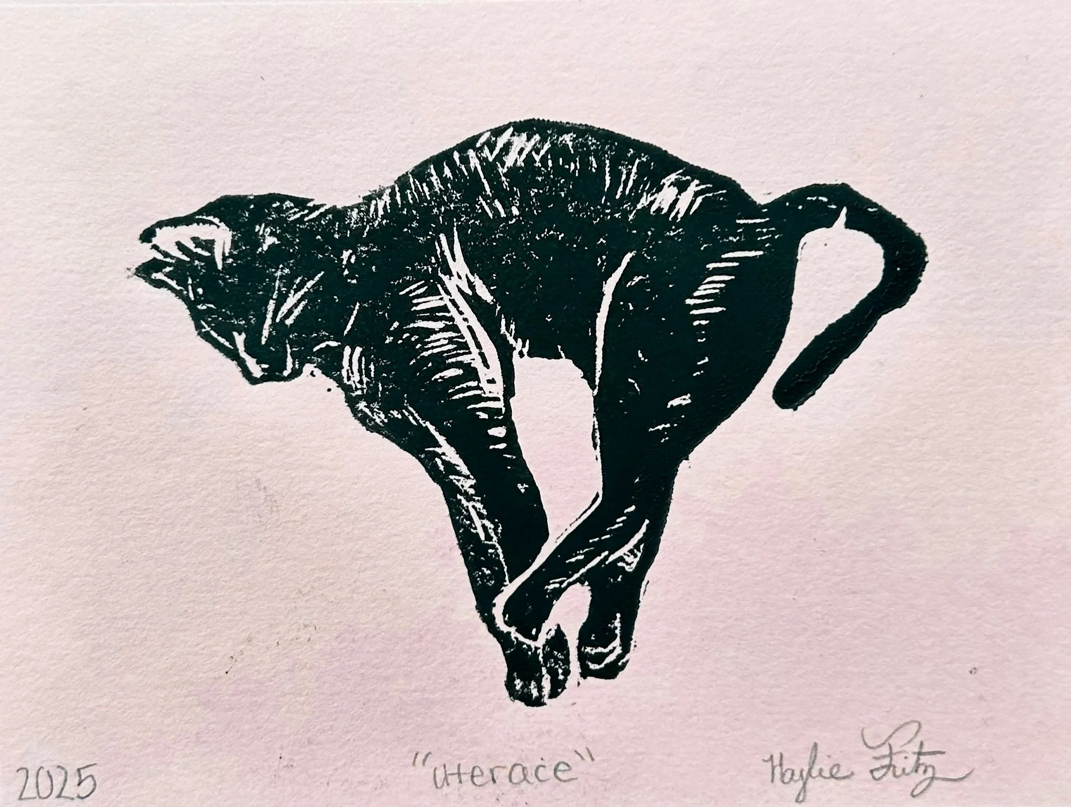 Uterace, linocut ,5 x4, 2025