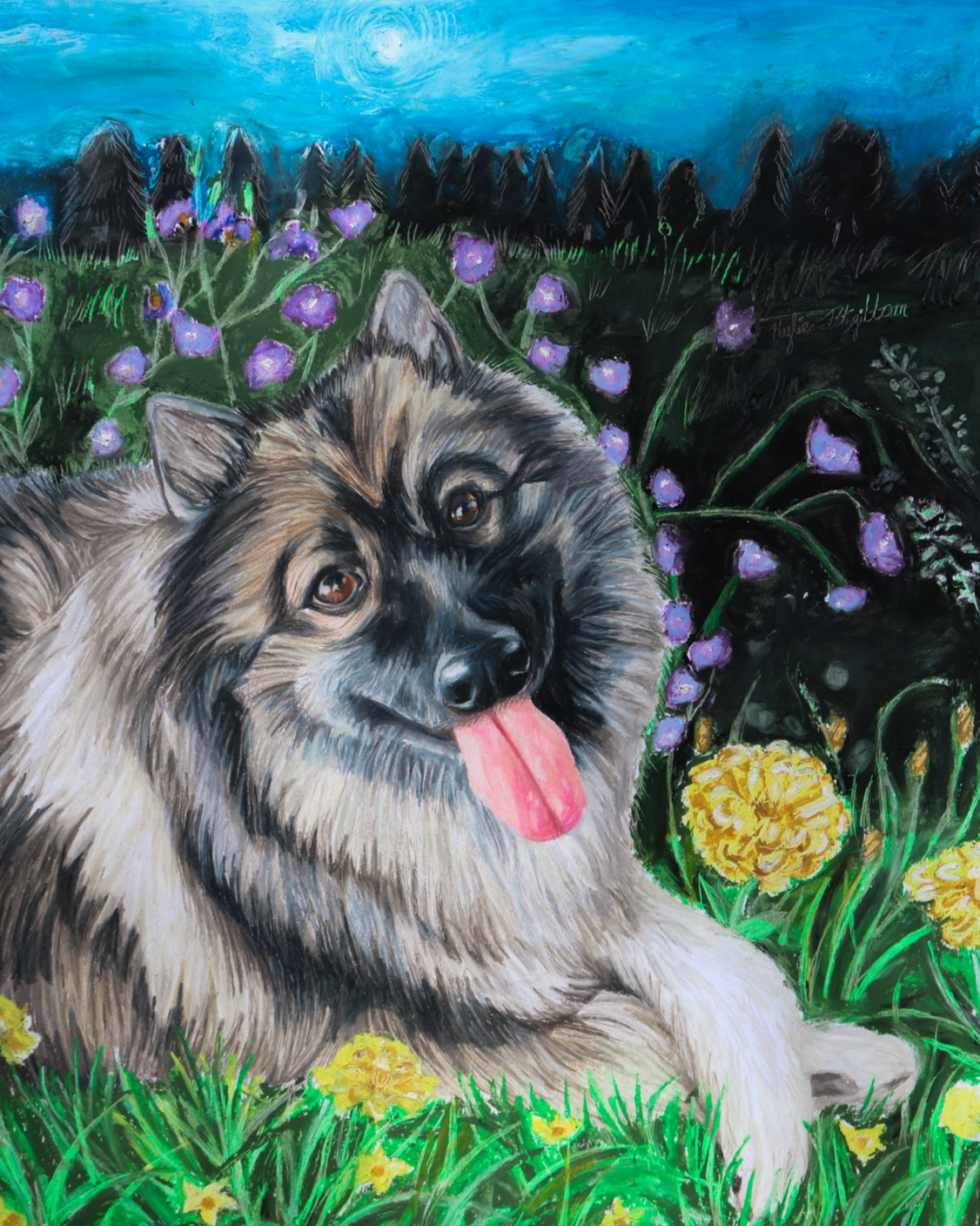 Pet drawings
