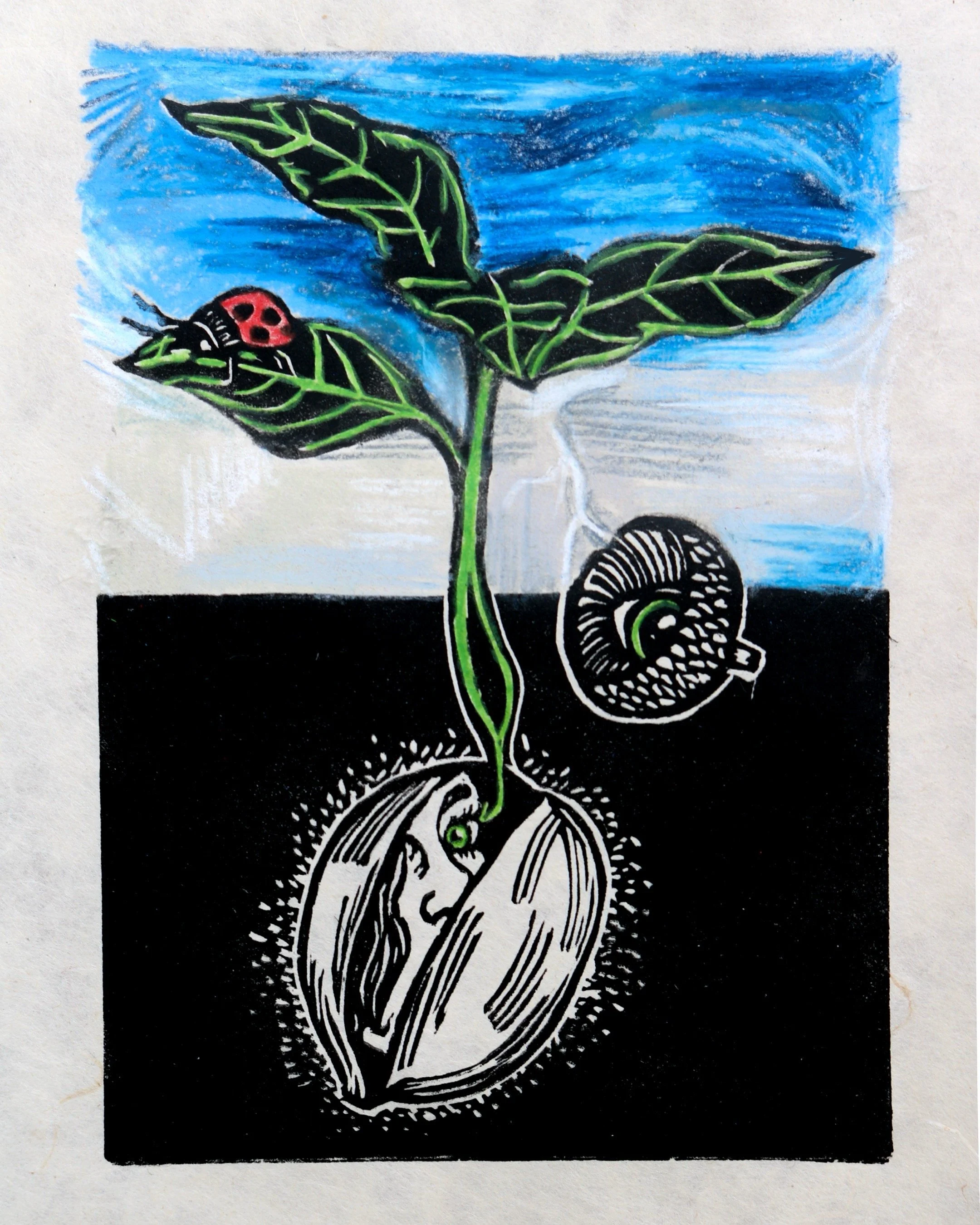 Growth, Linocut and colored pencil, 9"x12", 2025