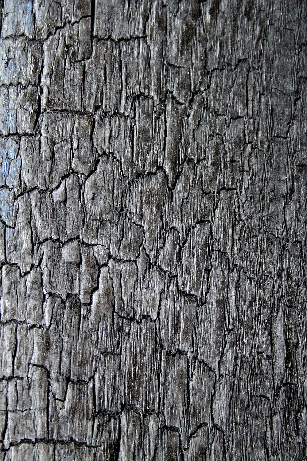 Nahaufnahme von schwarz verfärbtem, gealtertem Holz mit rissiger Oberfläche.