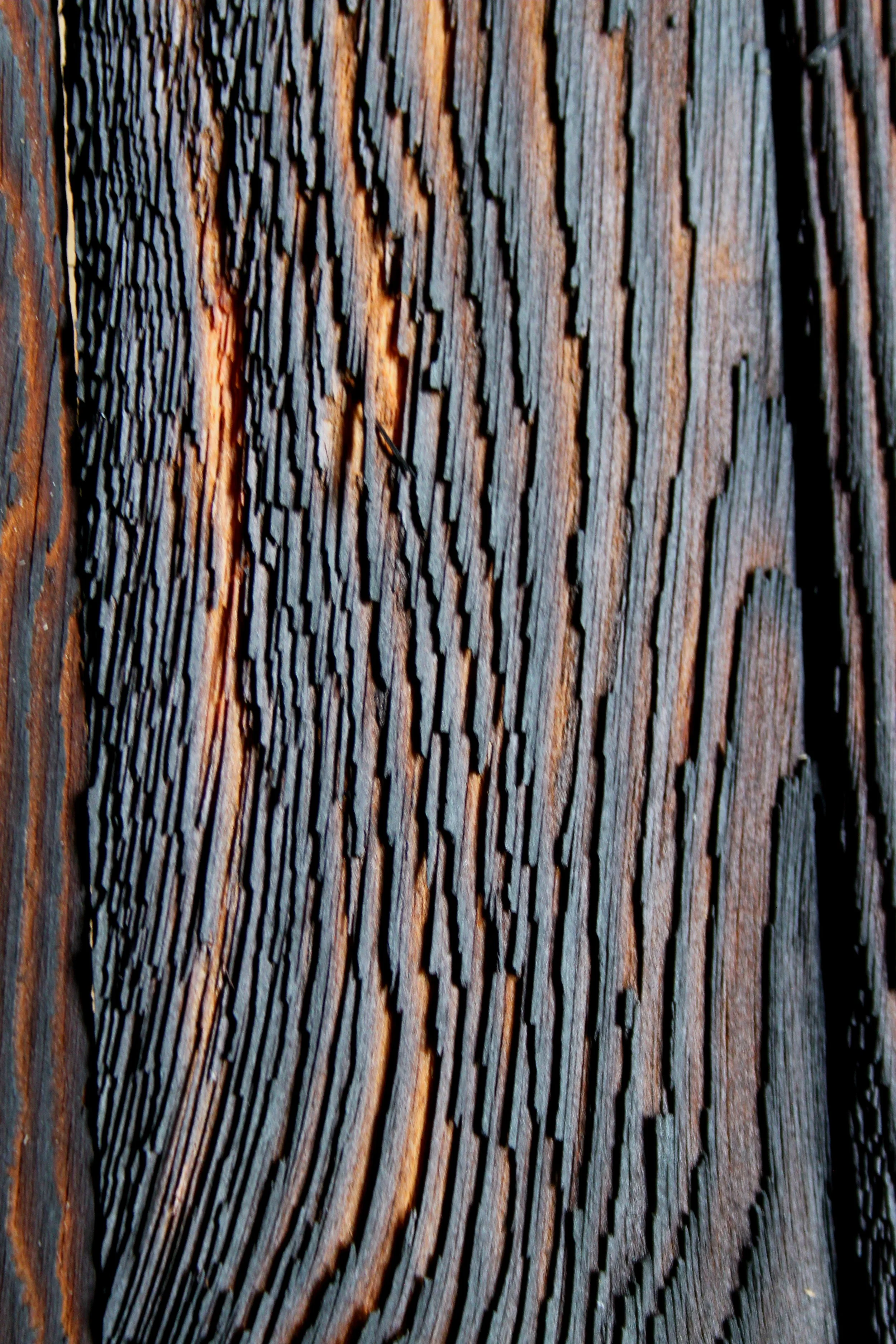 Nahaufnahme von einer alten, verwitterten Holzoberfläche mit dunklen und hellen Streifen und Rissen im Holz.