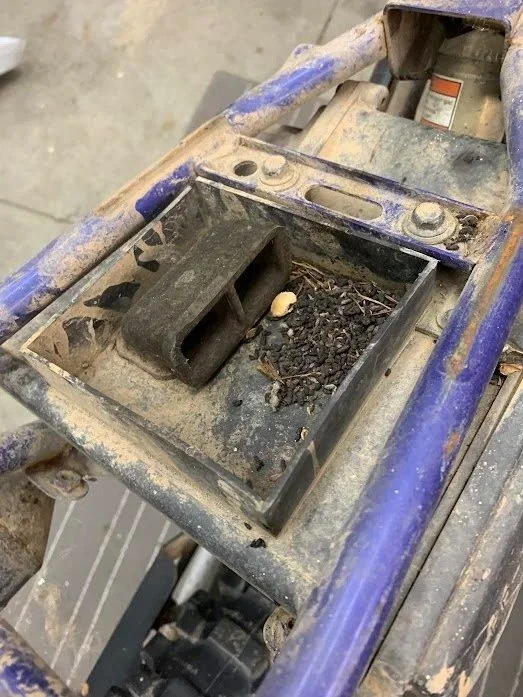 Nice mouse nest in the airbox