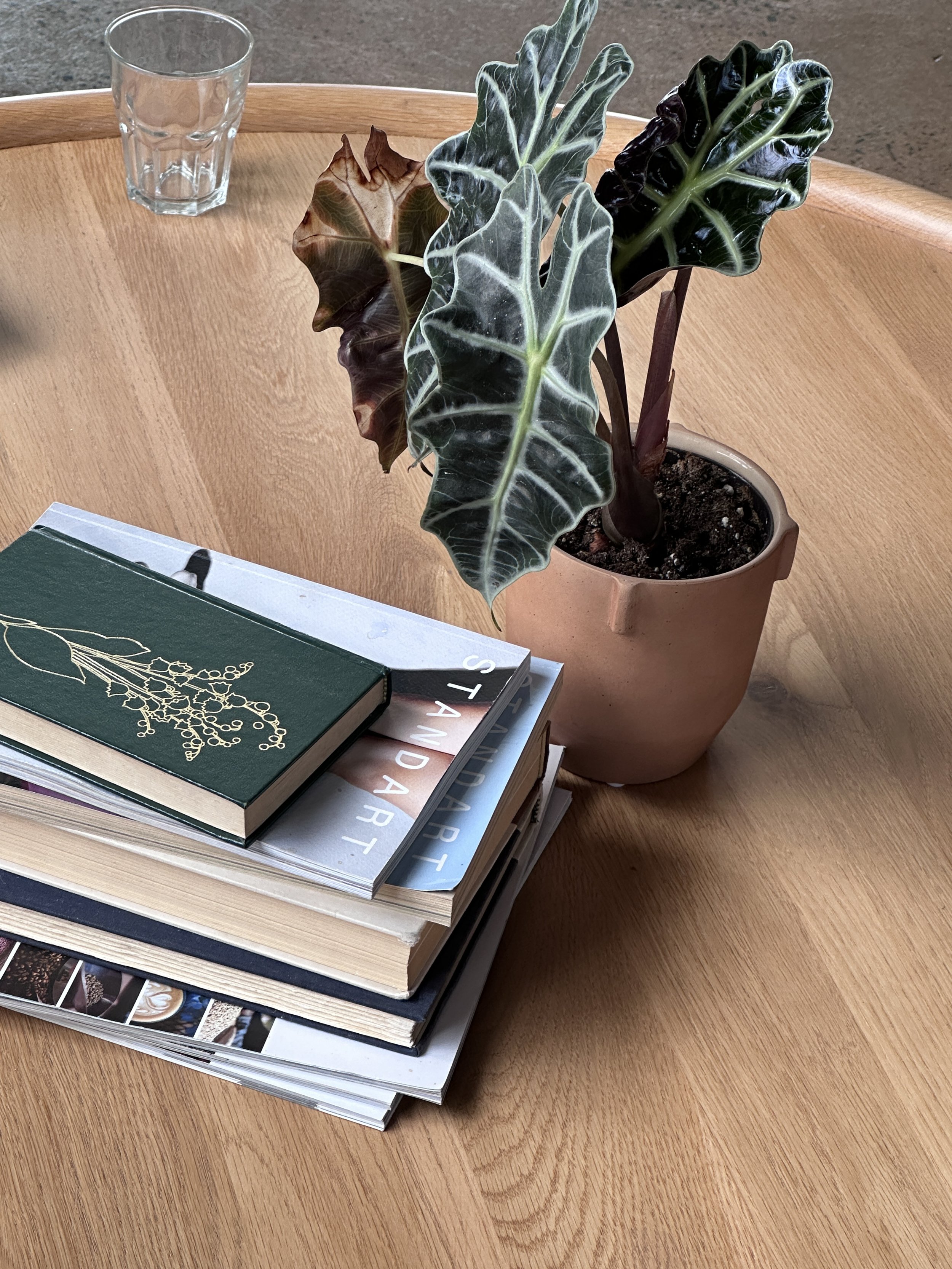 Blogtober Day 4: Starting a Book Log