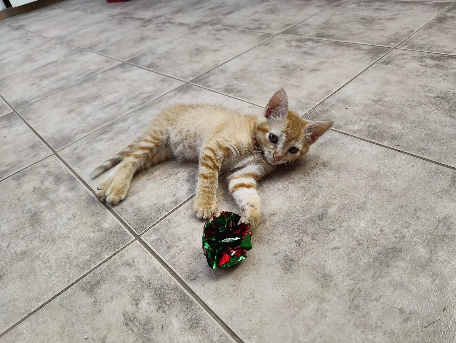 A small orange tabby kitten lying on a tiled floor, playing with a crumpled green and red metallic wrapping paper ball.